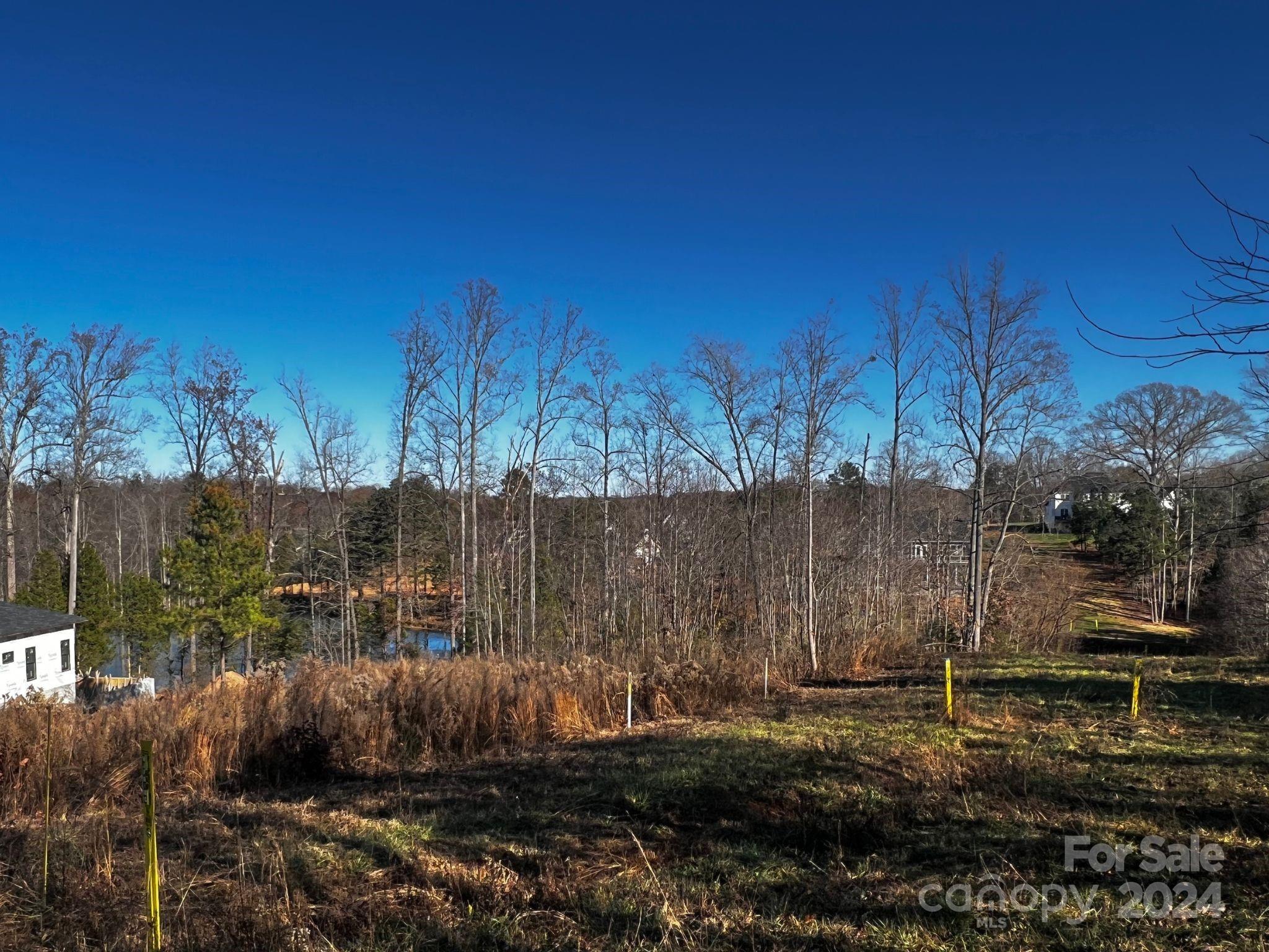 Davidson Pond - Land