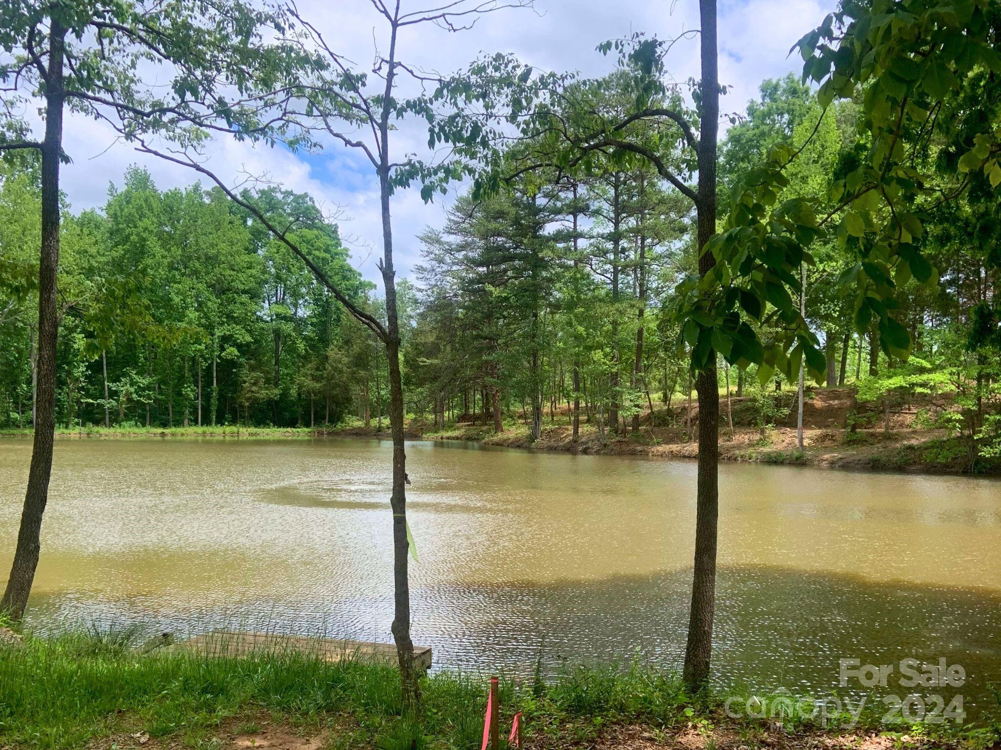 Davidson Pond - Land