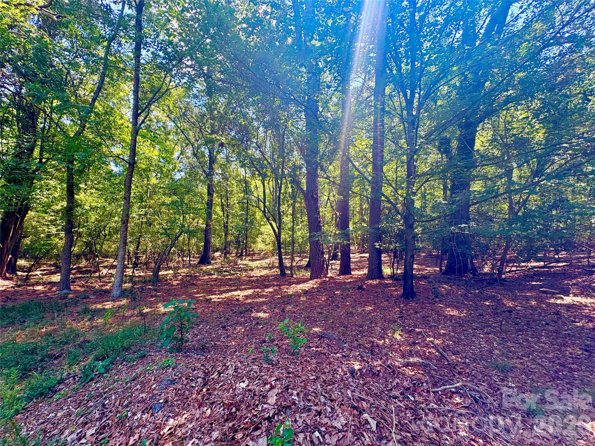 1801 Griffith Road