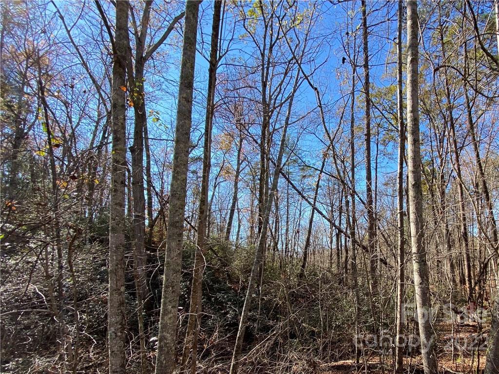Riverbend at Lake Lure - Land