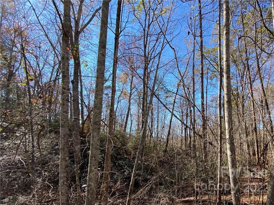 Lake Lure North Carolina located in Riverbend. Nice building lot with winter mountain views. You will have access to two private lakes for fishing, canoeing and kayaking, a sandy beachfront, and a hiking trail along the Broad River. Just a short drive to shopping, groceries, restaurants, Chimney Rock, Lake Lure Beach, The Tryon International Equestrian Center, Asheville, Hendersonville, The Blue Ridge Parkway and all the best recreation Western North Carolina has to offer.