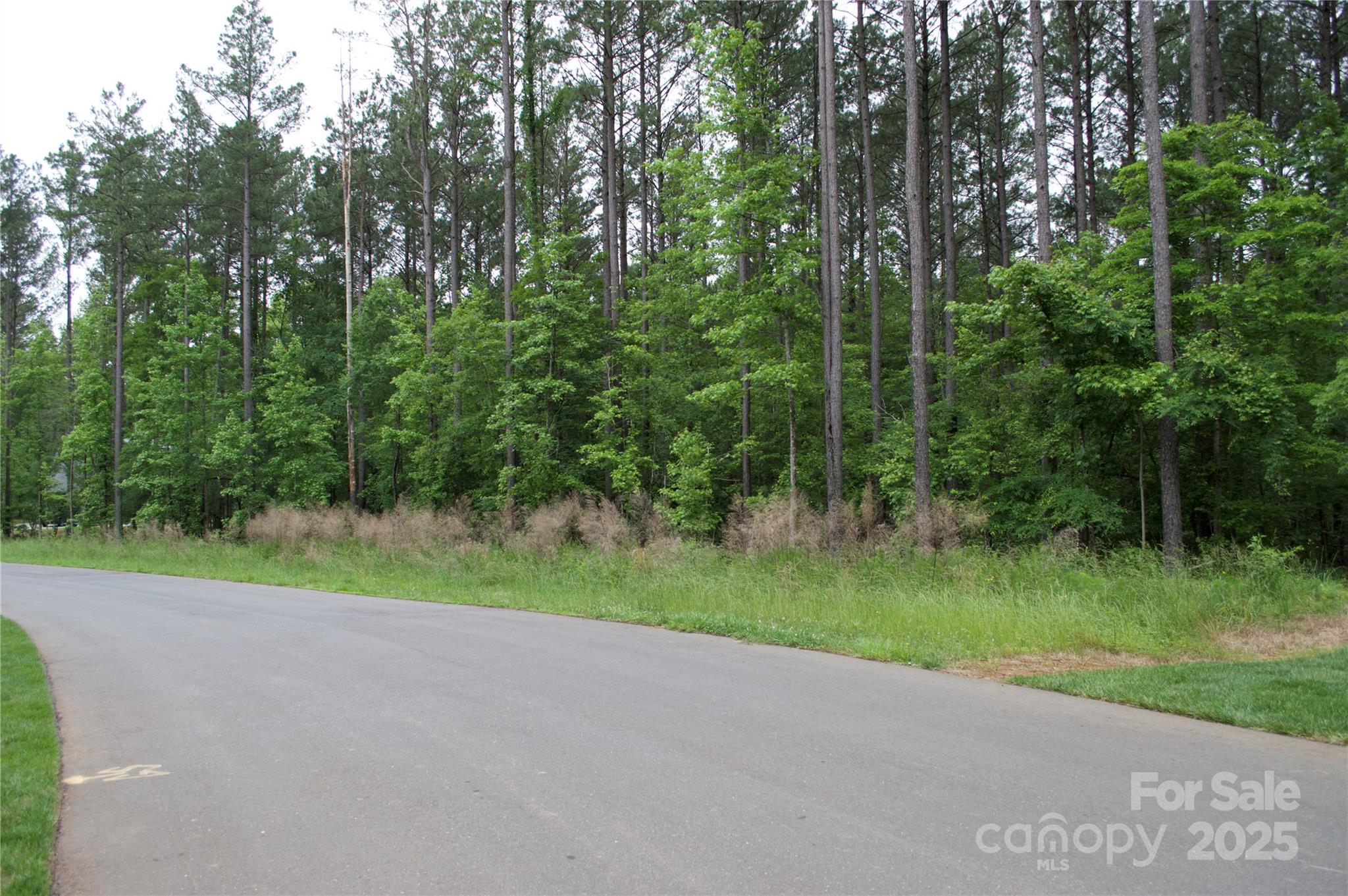 Riverchase Estates - Land