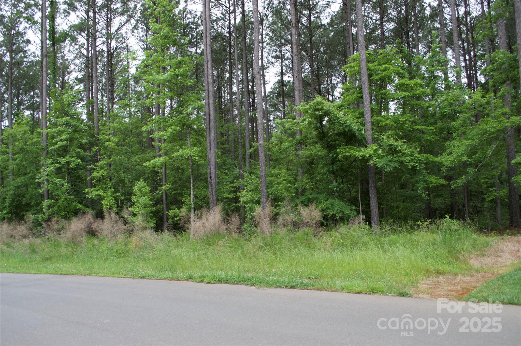 Riverchase Estates - Land