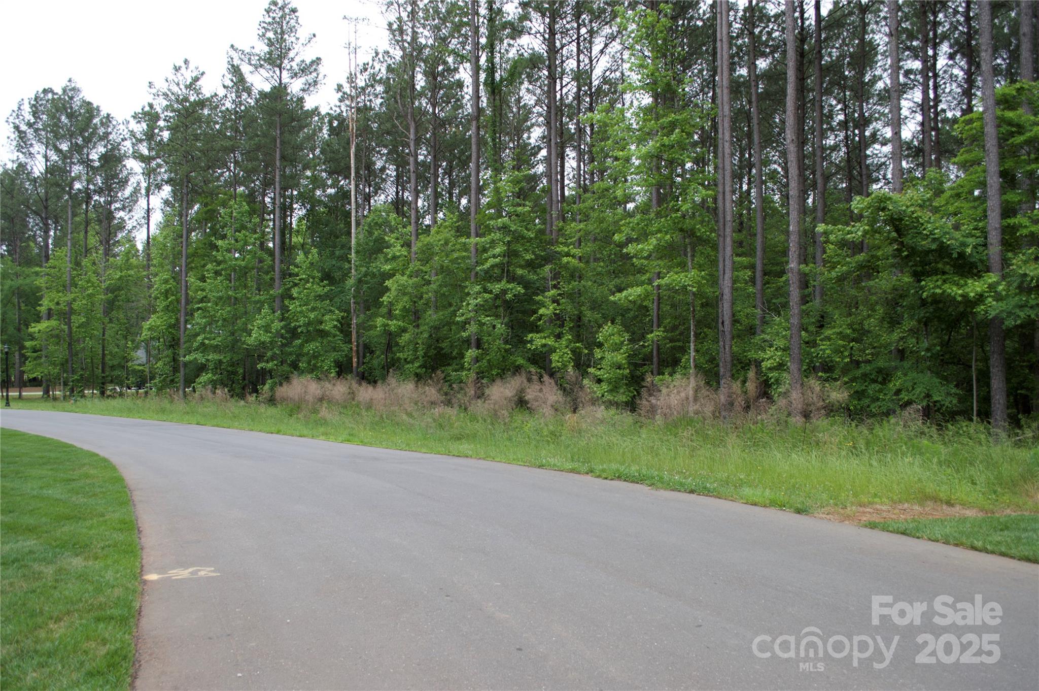 Riverchase Estates - Land