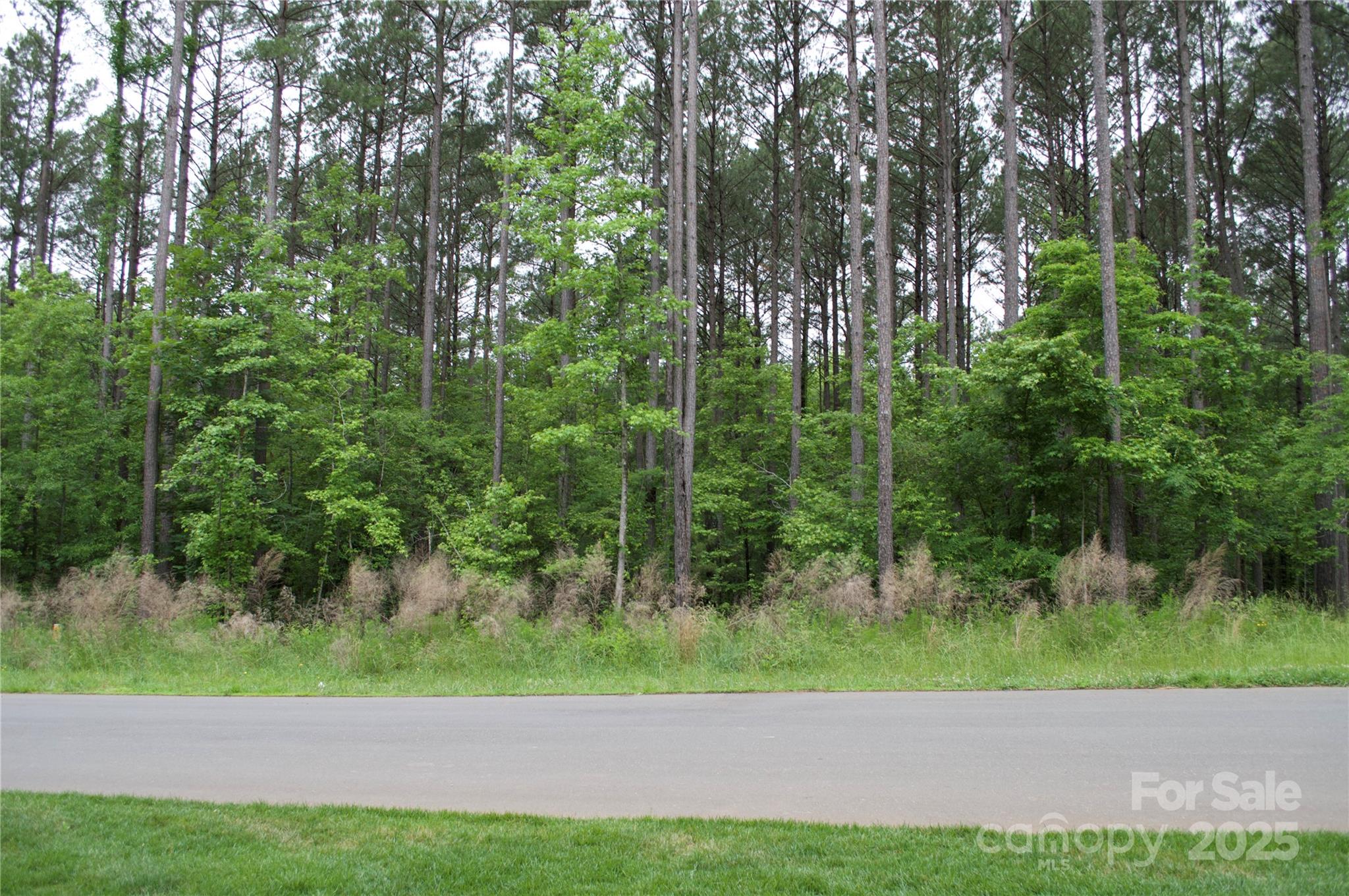 Riverchase Estates - Land