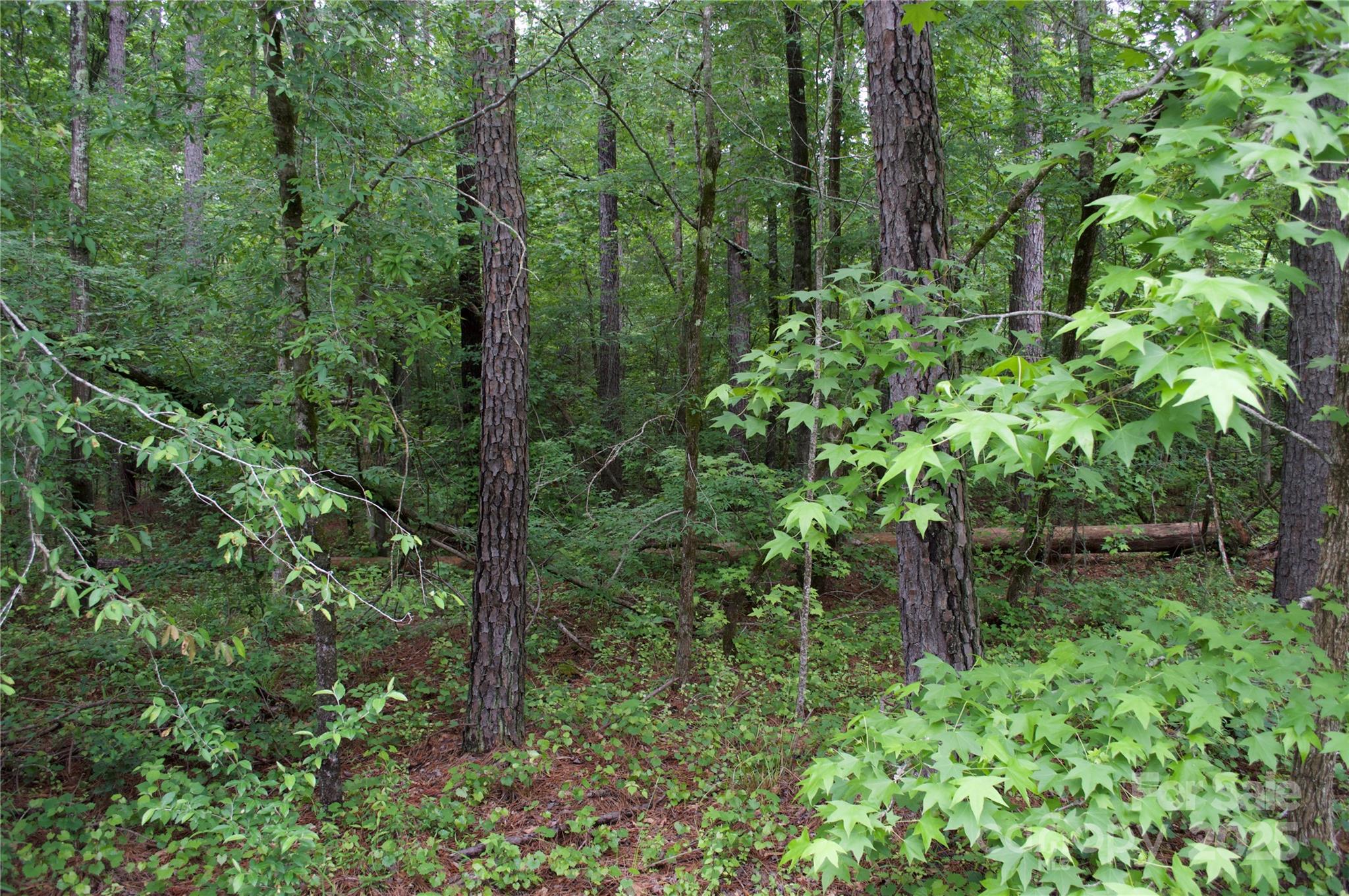 Riverchase Estates - Land