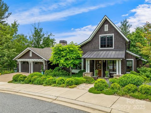 3 Bayonne Trail Asheville NC 28804