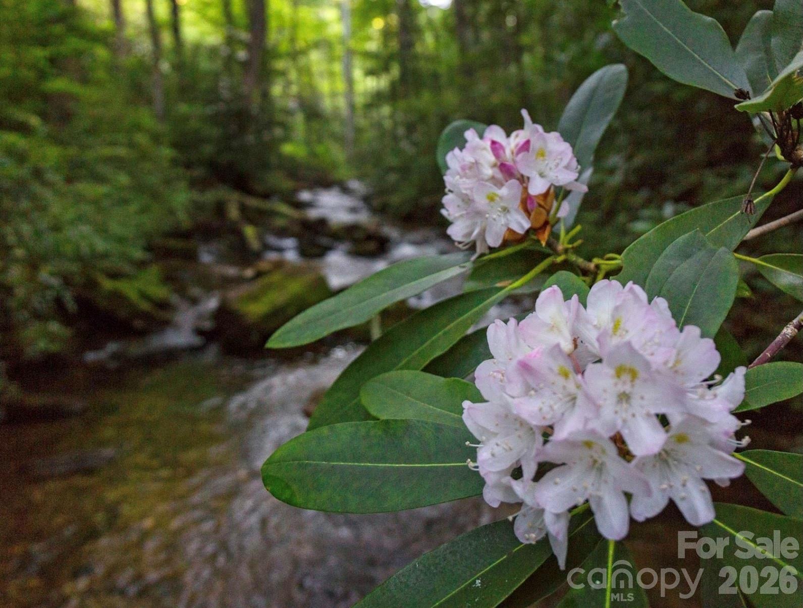 Greenwood - Residential