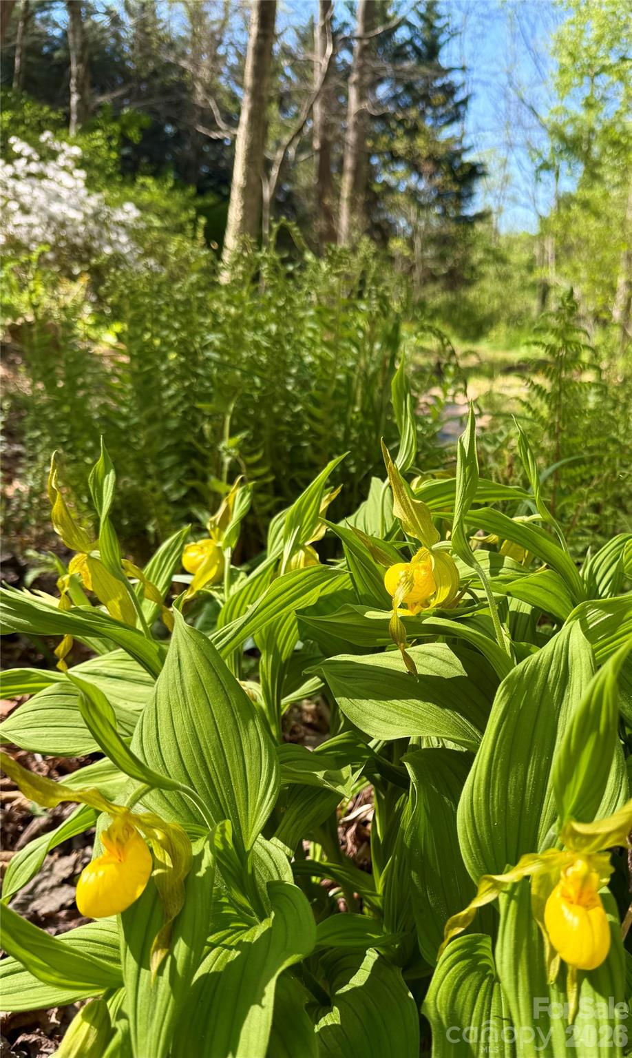 Greenwood - Residential