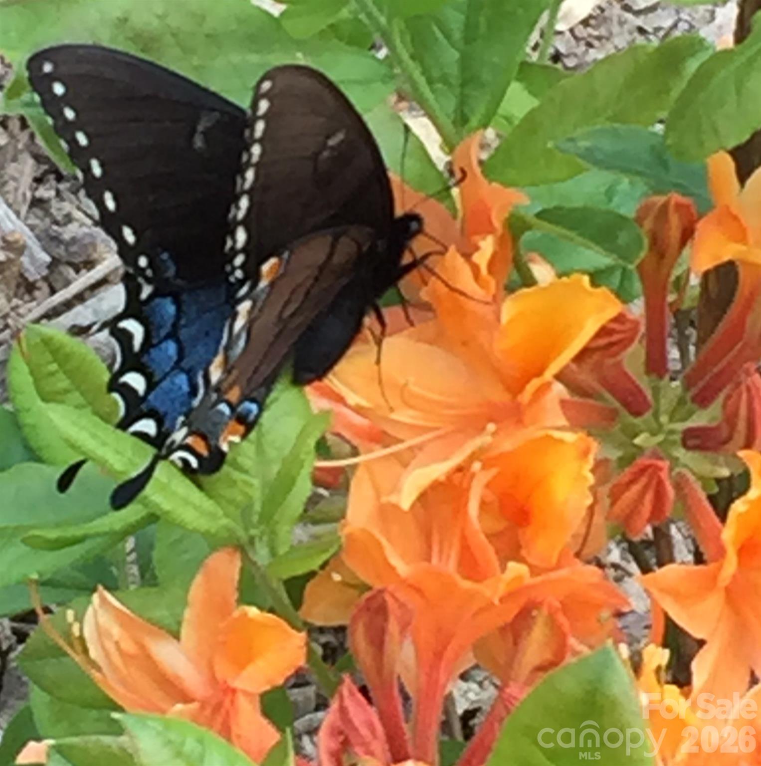 Greenwood - Residential