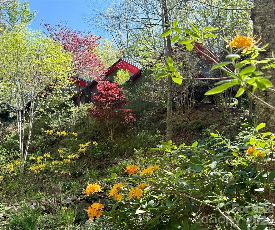 Sitting in harmony with its woodland setting, this exceptional mountain retreat is a refuge reflecting peace and calm. Designed to embrace natural light, this LEED Silver 'Parade of Homes' 2013 winner for both innovation and craftsmanship is elegantly simple and respectful of its surroundings. Honoring the century-old rhododendron and laurel thickets, the thoughtfully designed greenwood is sprinkled with hydrangeas, native azaleas, dogwoods, grasses, and a stunning collection of Japanese maples. An expansive covered outdoor patio 'room' allows for living with the trees. Wander the 2.77 private acres of forest trails and resting spots, and then play and splash in Robinson Creek. The climate-responsive house design incorporates both active and passive solar, 3 energy-storing batteries, a geothermal heat pump with a heat-ventilator HRV recovery system, all working together to keep air quality optimized and procure monthly winter electric bills in the teens! This distinctive home and grounds have been twice featured in 'Carolina Homes + Garden' magazine. Minutes from organic grocers, exceptional dining, urgent care, and the best shopping Asheville offers!. By appointment only, with inspiration from the seasons.
