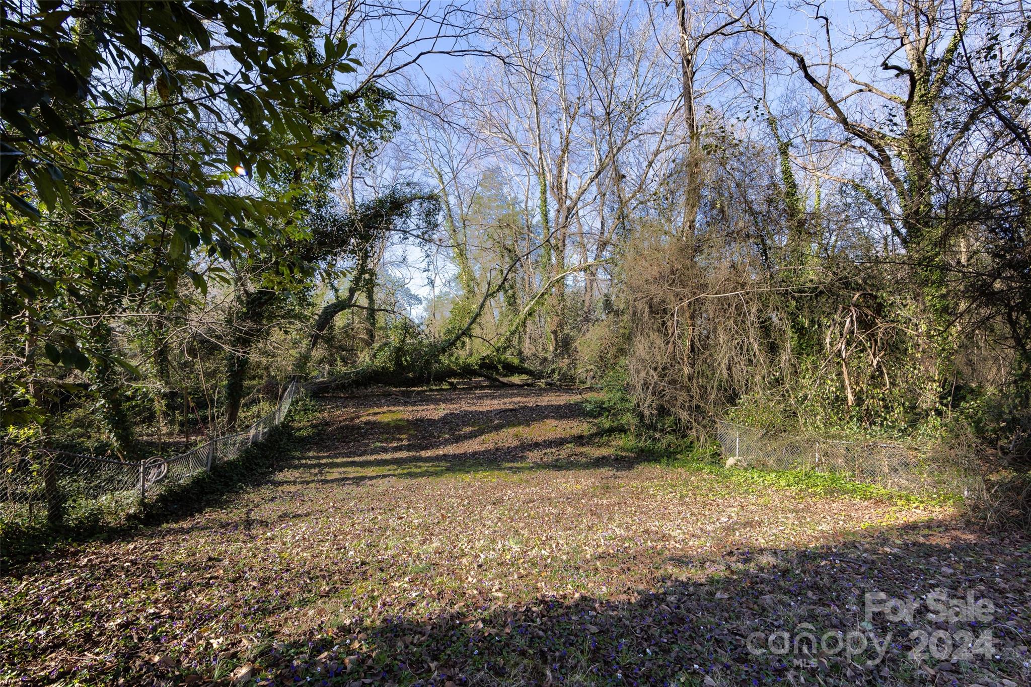 Cedar Oaks - Residential