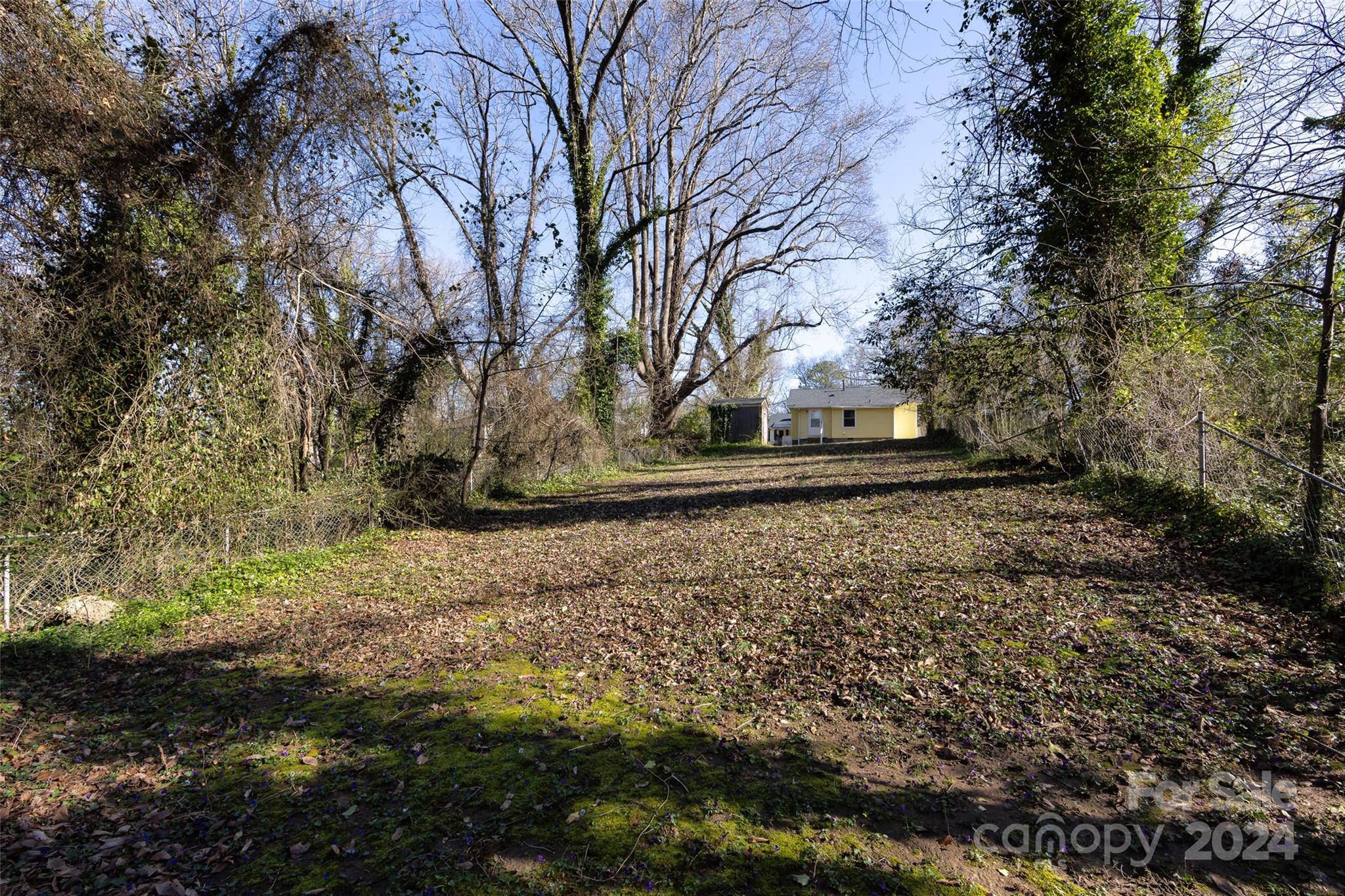 Cedar Oaks - Residential