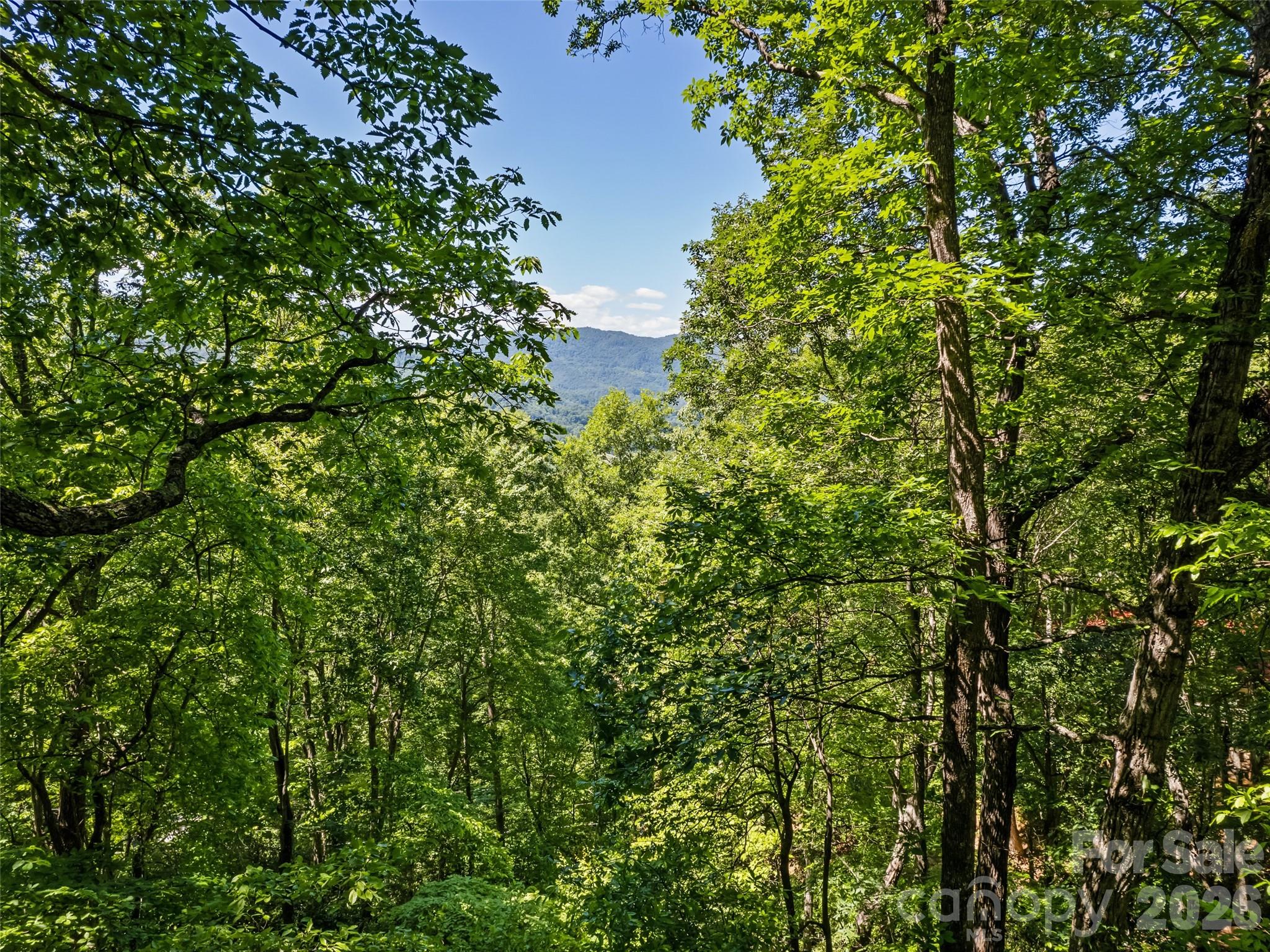 1392 Mount Chalet Road