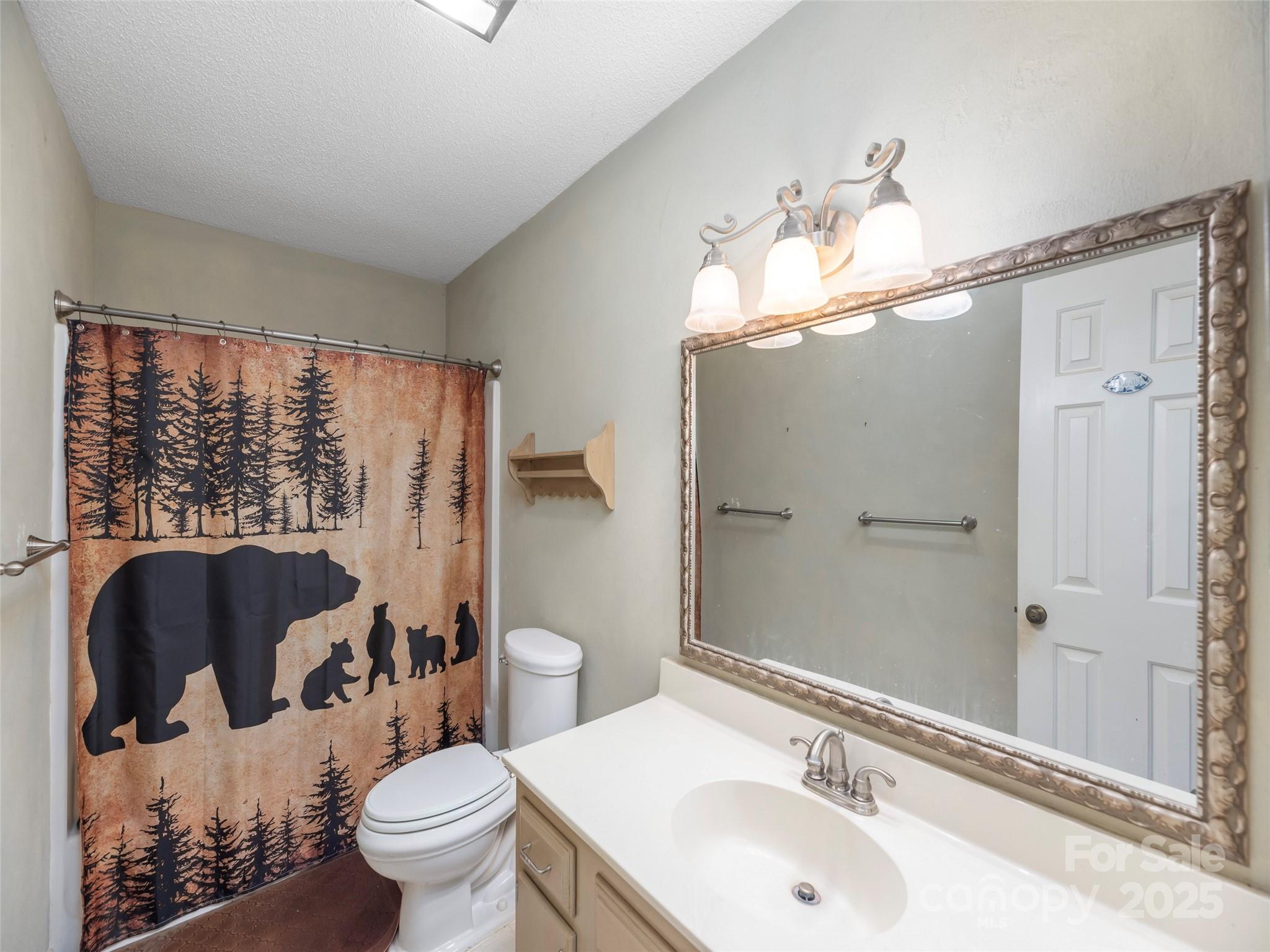 Mountain Chalet - Residential