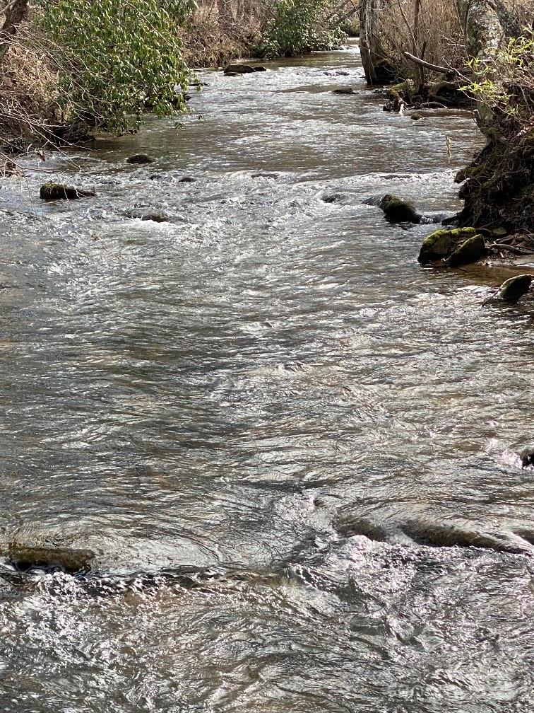 11 Arbor Creek Trail 11