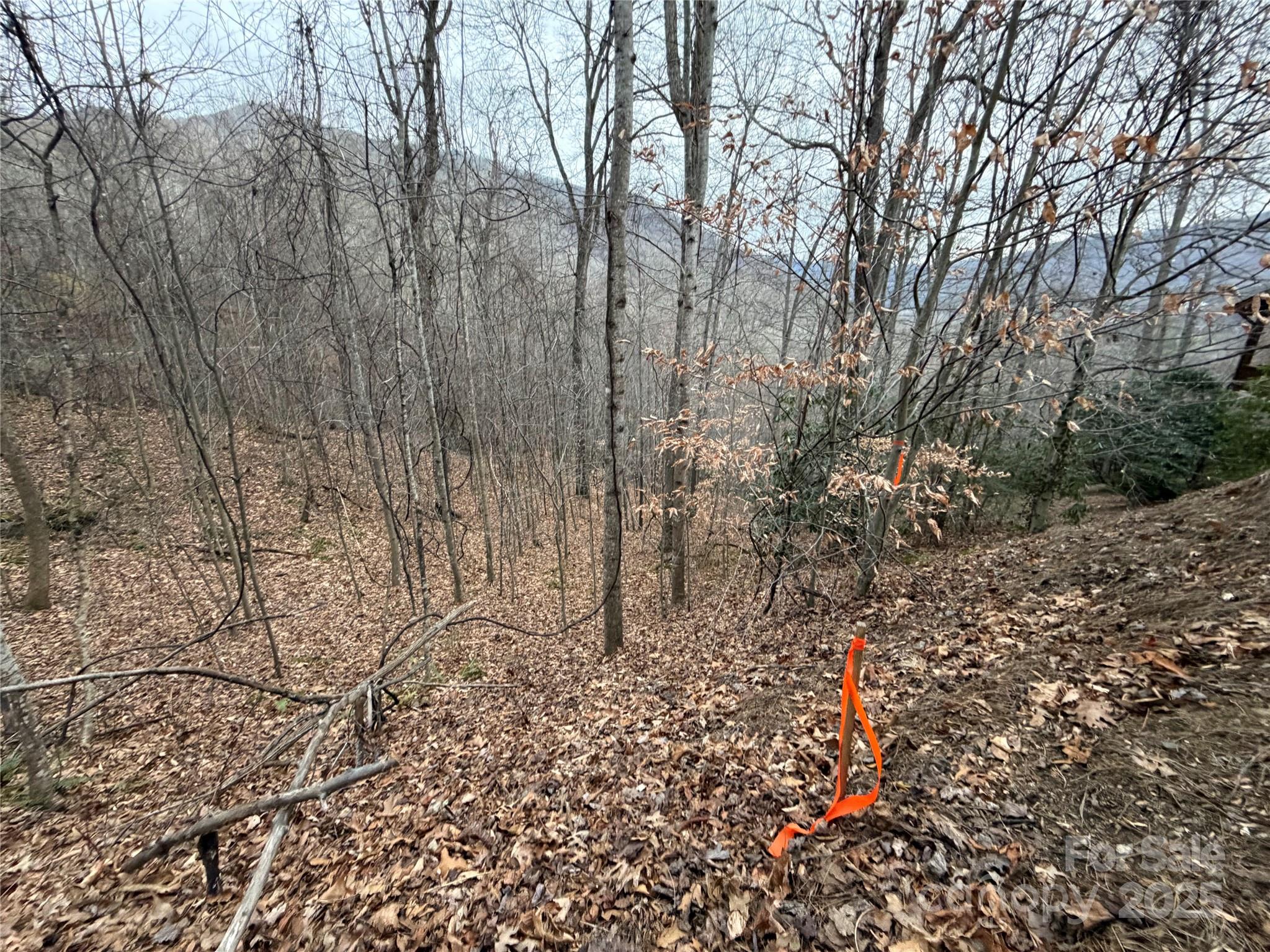 Campbell Woods - Land