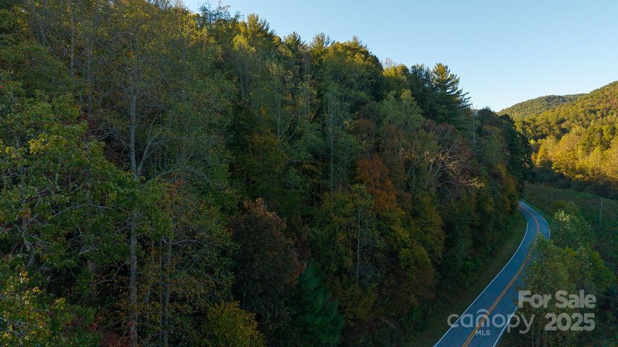 Tucked away off US 421 N, this beautiful 8+/-acre wooded tract offers a setting to build your dream home, establish a homestead, or create a peaceful weekend retreat. Enjoy over 1,000 feet of road frontage and sloped, rolling terrain, with plenty of room for trails, recreation, or simply unwinding in nature. A portion of a larger tract, this property will require a new survey prior to closing. The land’s natural character provides endless opportunities for exploration, hunting, or outdoor living for those seeking space and serenity. Located just minutes from Moravian Falls and Wilkesboro, you’ll find nearby waterfalls, hiking trails, Kerr Scott Lake, and all the charm of small-town living. The area is also home to Leatherwood Mountains Resort, offering miles of horseback riding and hiking trails, mountain views, and equestrian amenities. Enjoy the vibrant local scene with parks, recreation trails, annual festivals, and access to the Yadkin Valley Wine Trail featuring scenic vineyards and wineries. Just a short drive to Boone, NC, this property offers a blend of mountain adventure, relaxation, and local charm. Experience the best of North Carolina foothills living—where the mountains begins.