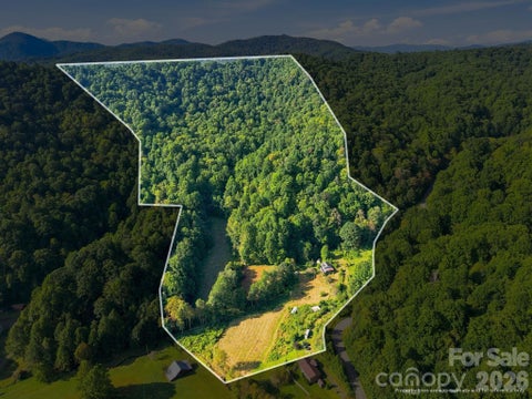 Photo of 1487 Poplar Gap Road, Hot Springs, NC 28754 (MLS # 4420401)