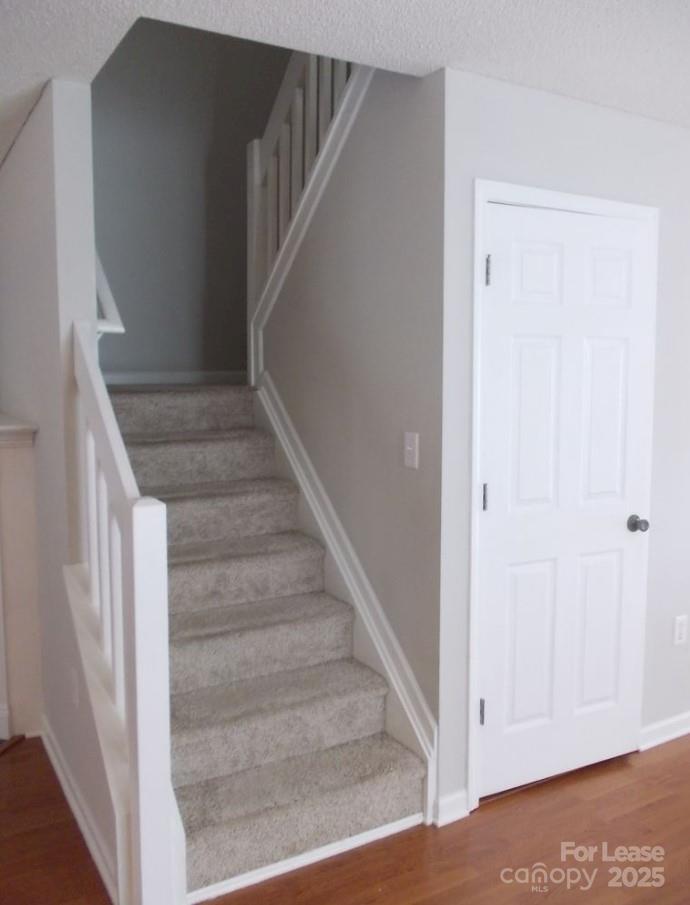 12317 Paperbark Circle