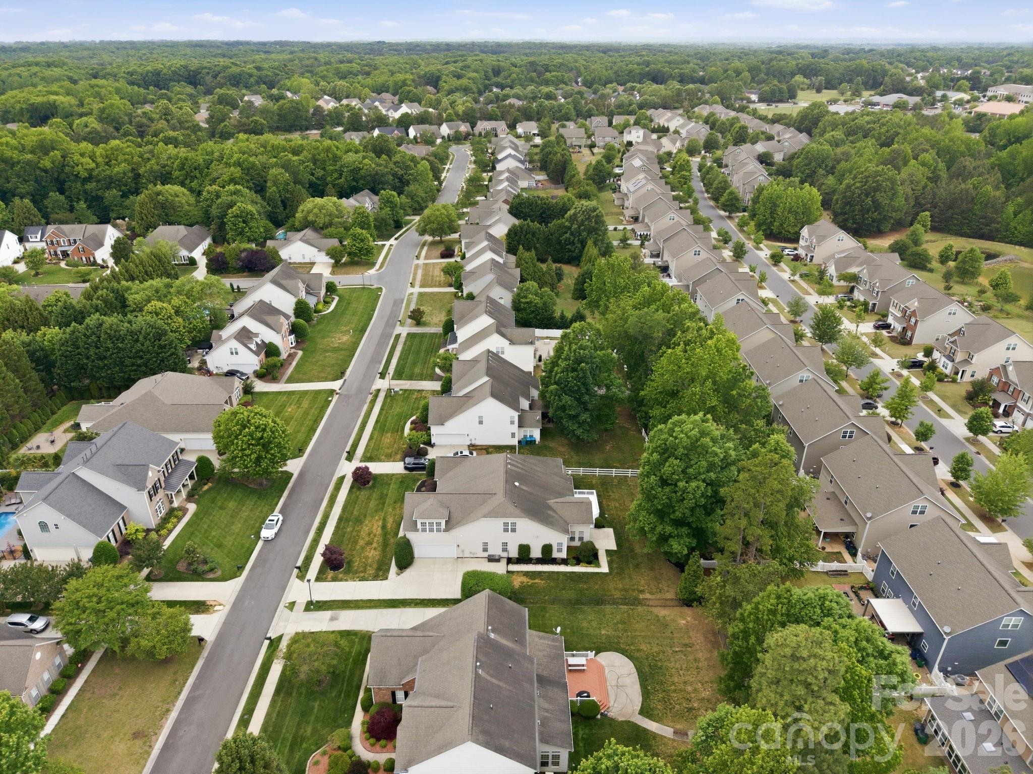 Chestnut - Residential