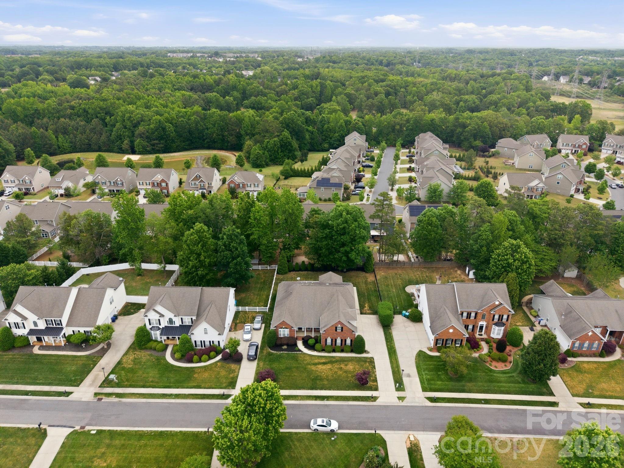 Chestnut - Residential