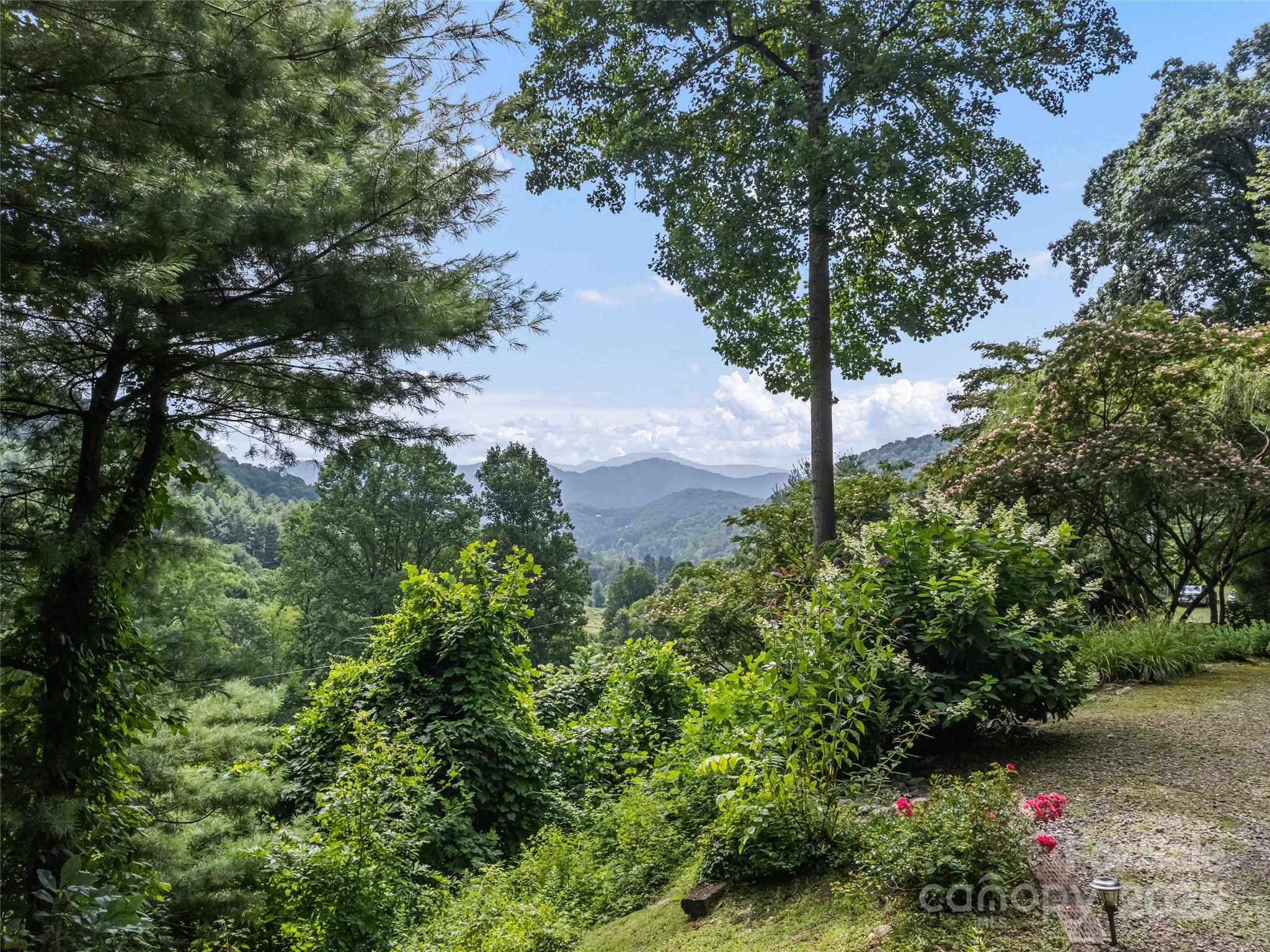 Larry Adcock - Residential