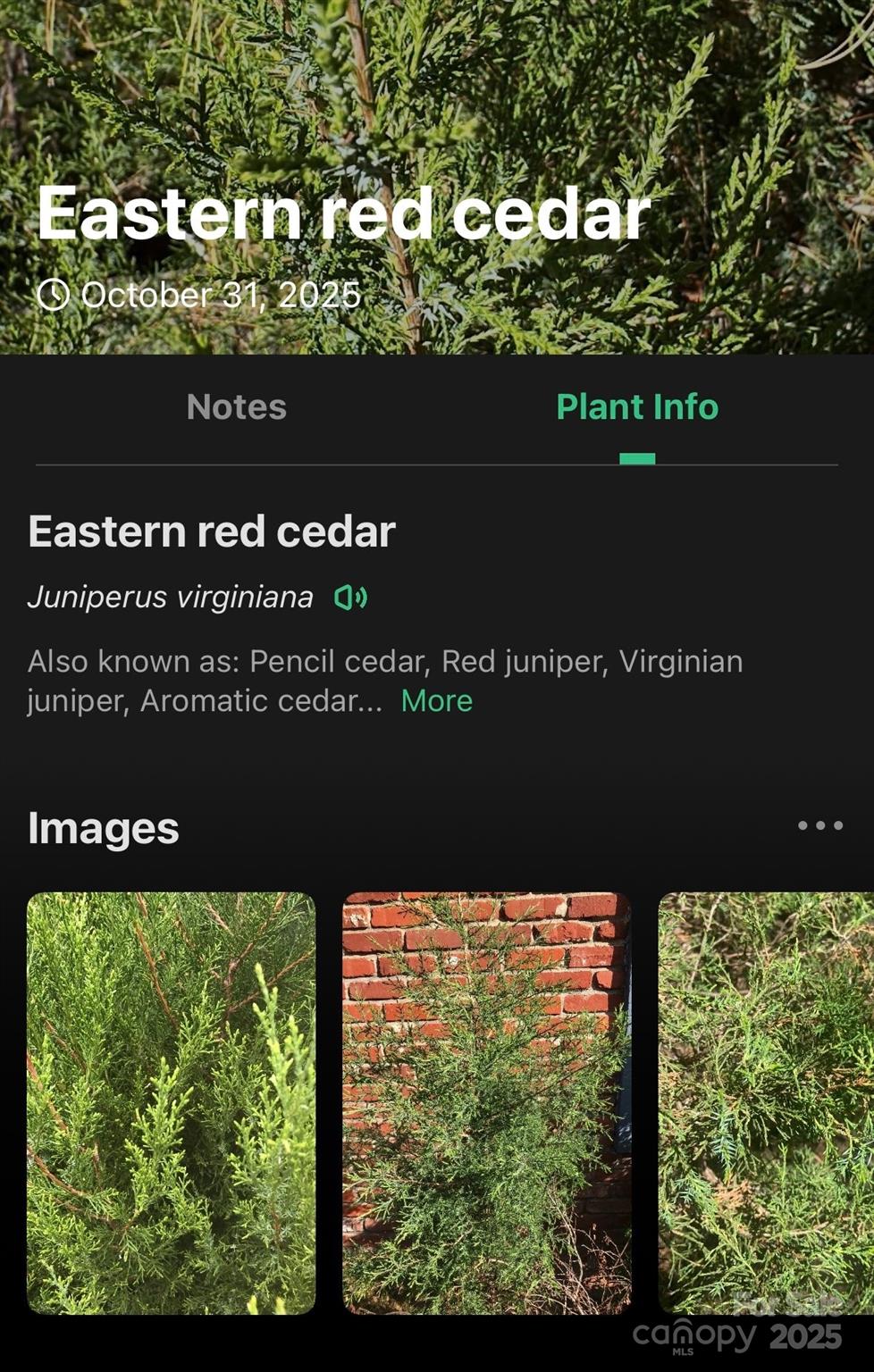 The Peninsula at Lake James - Land