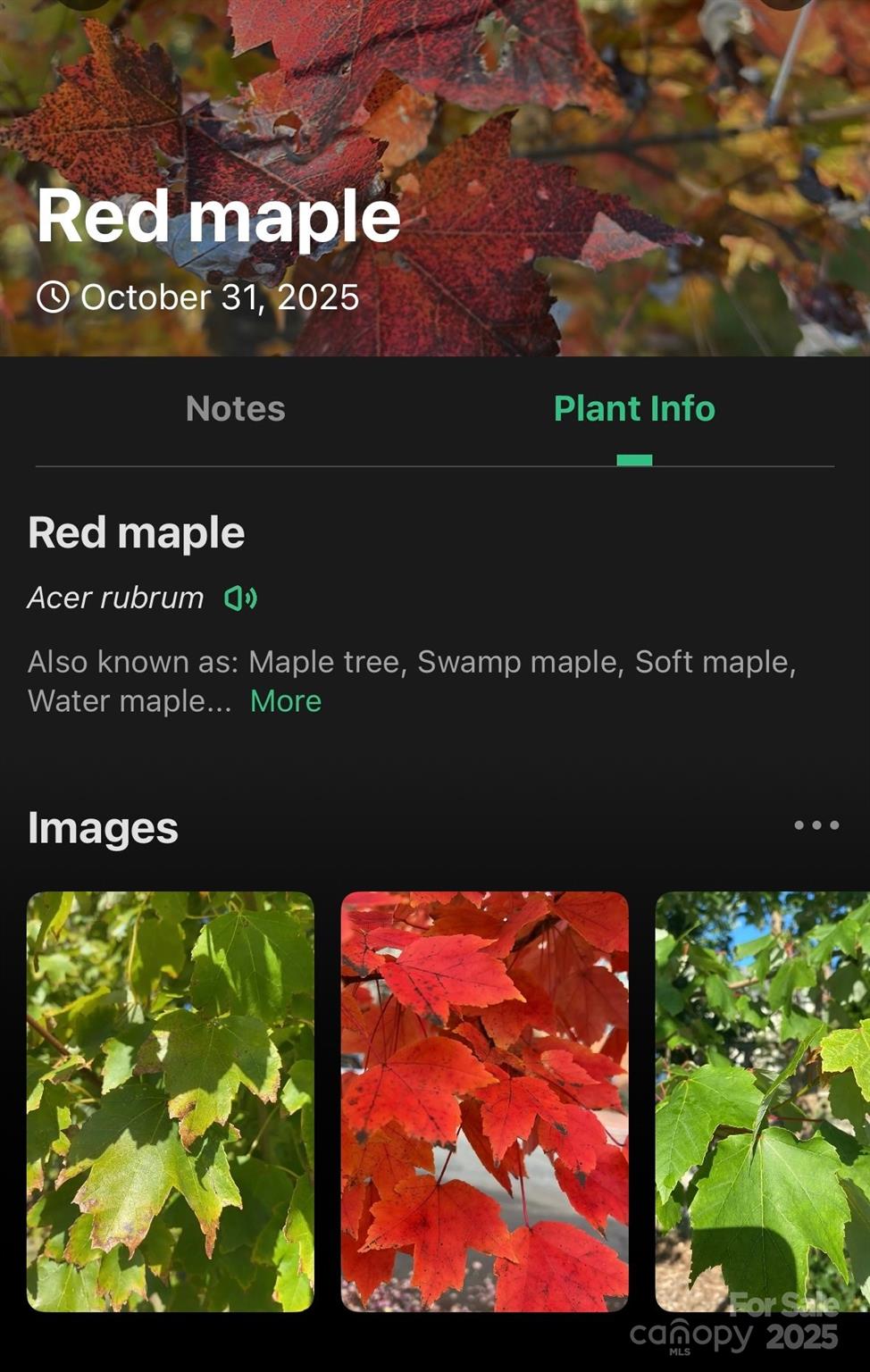 The Peninsula at Lake James - Land