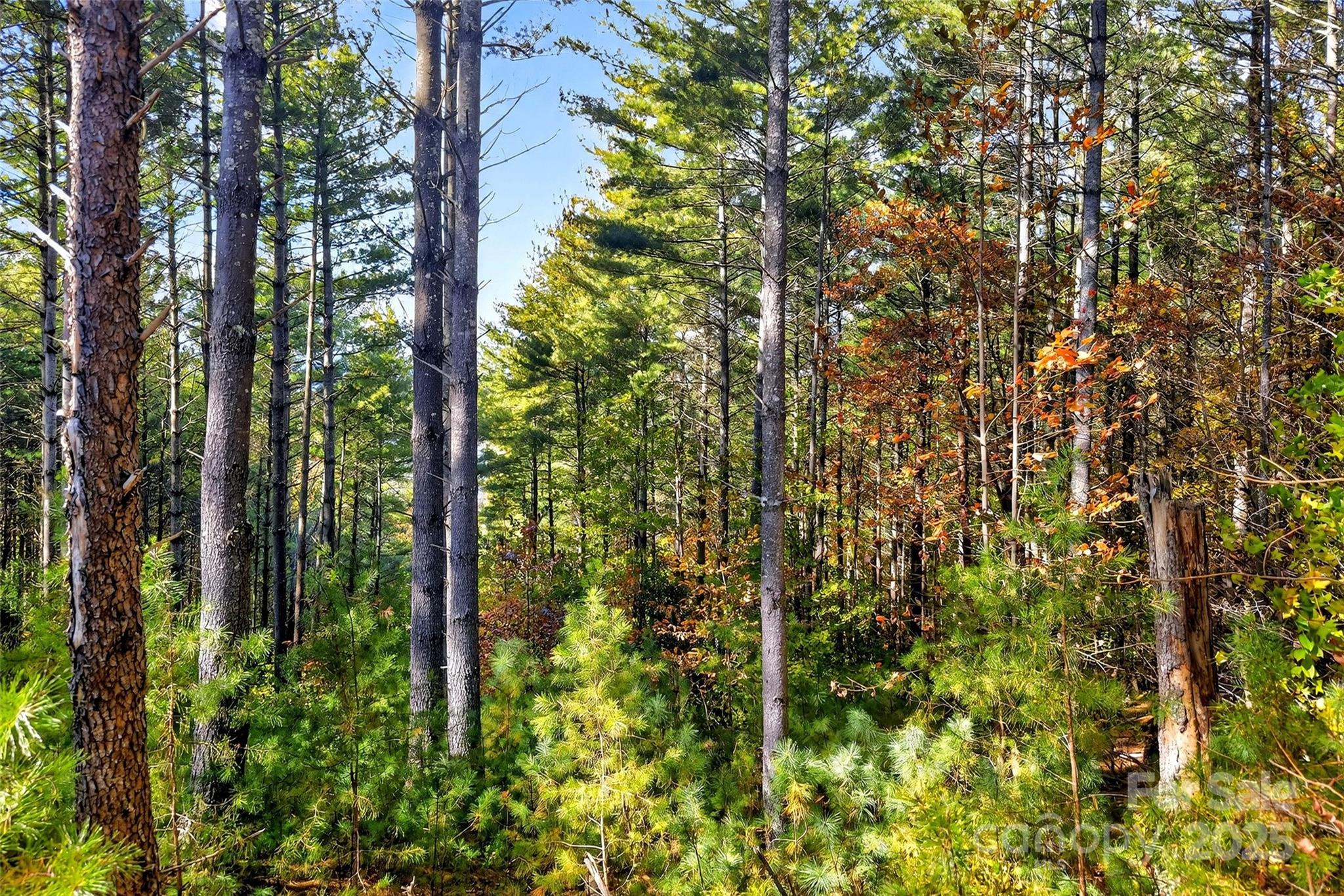 The Peninsula at Lake James - Land