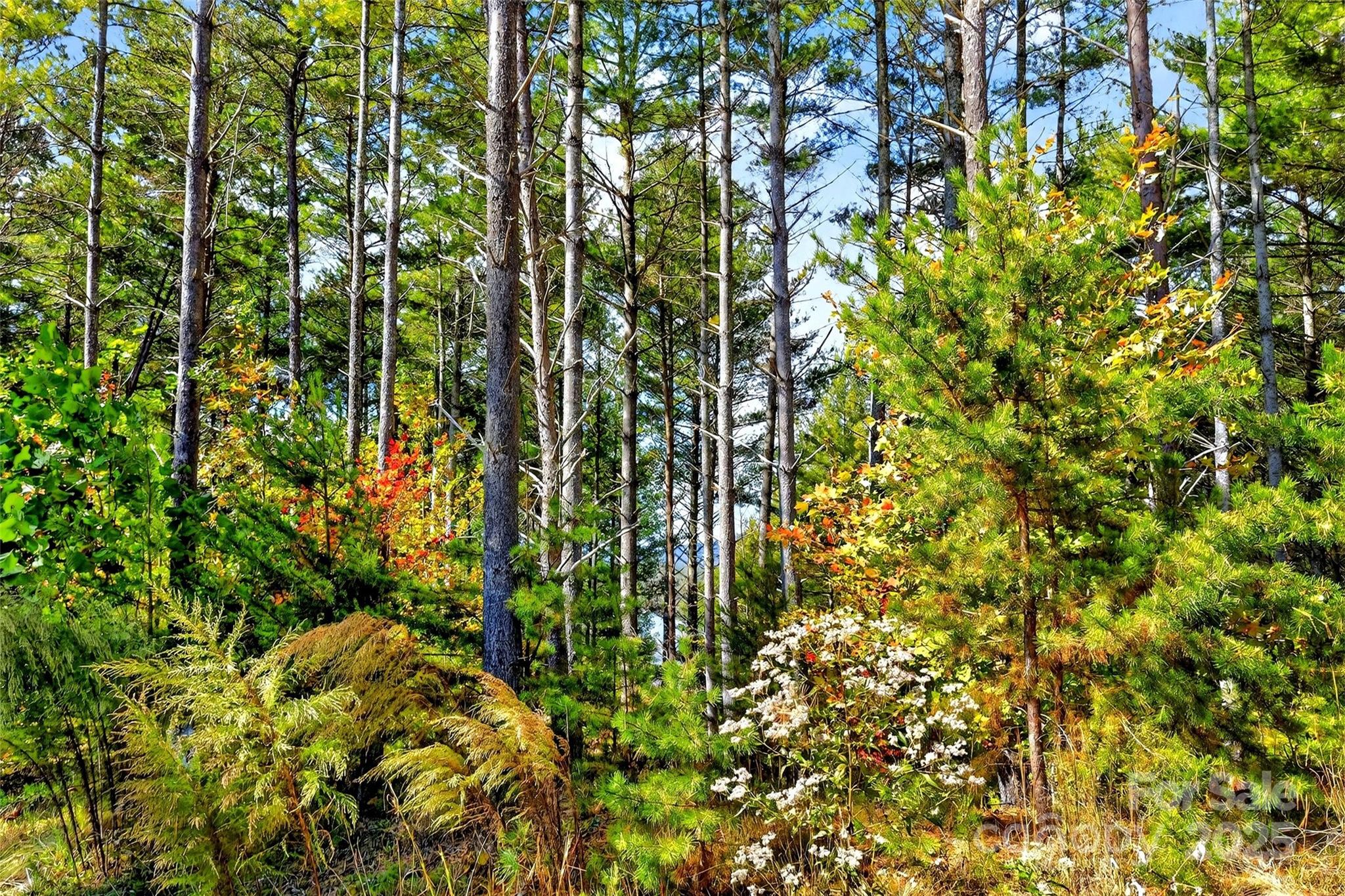 The Peninsula at Lake James - Land