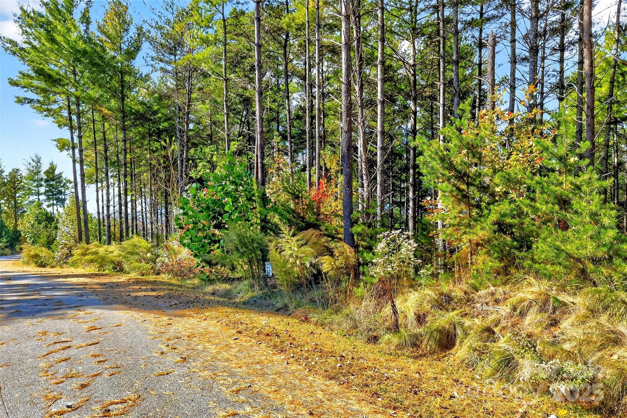 The Peninsula at Lake James - Land