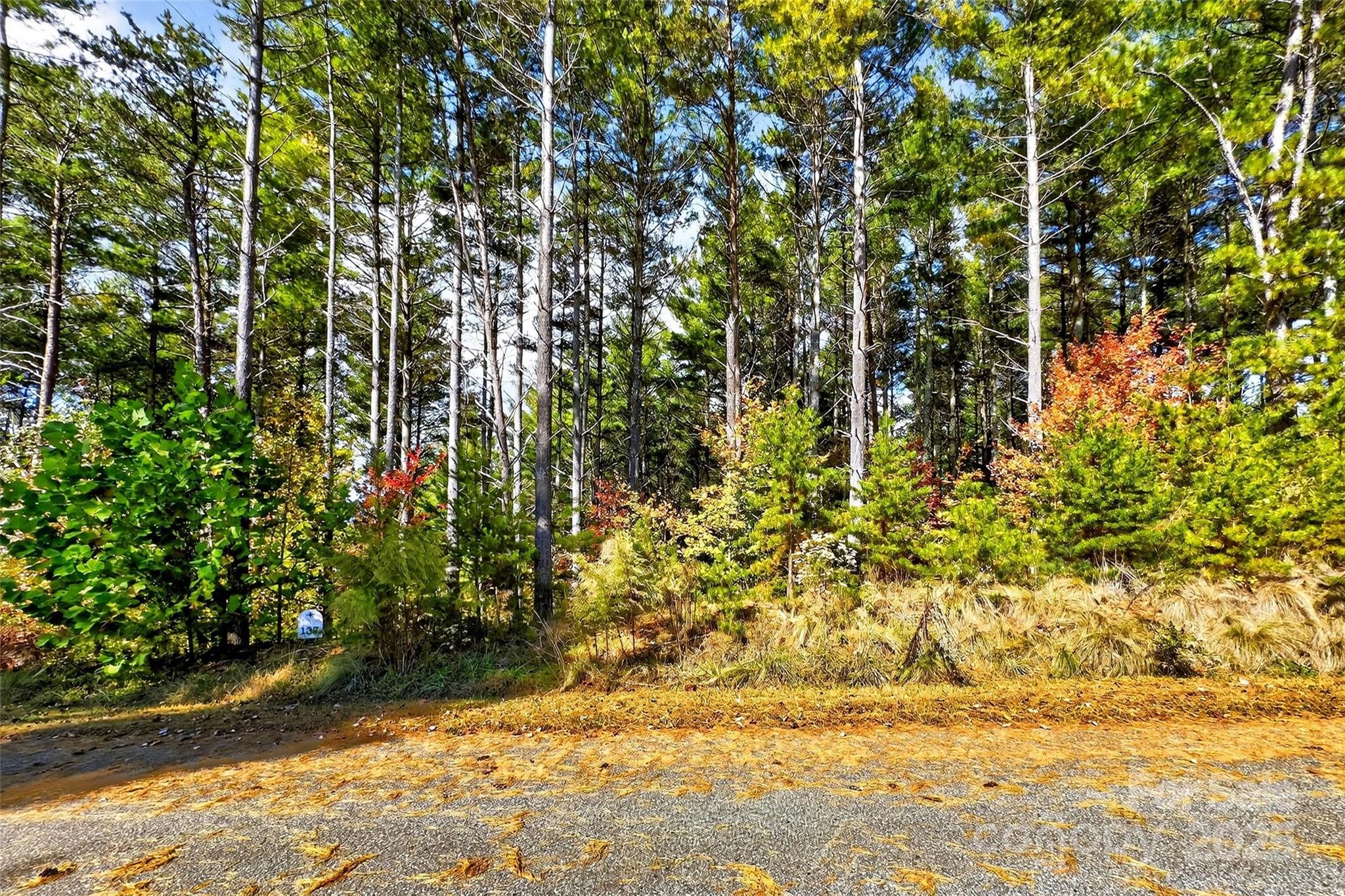 The Peninsula at Lake James - Land