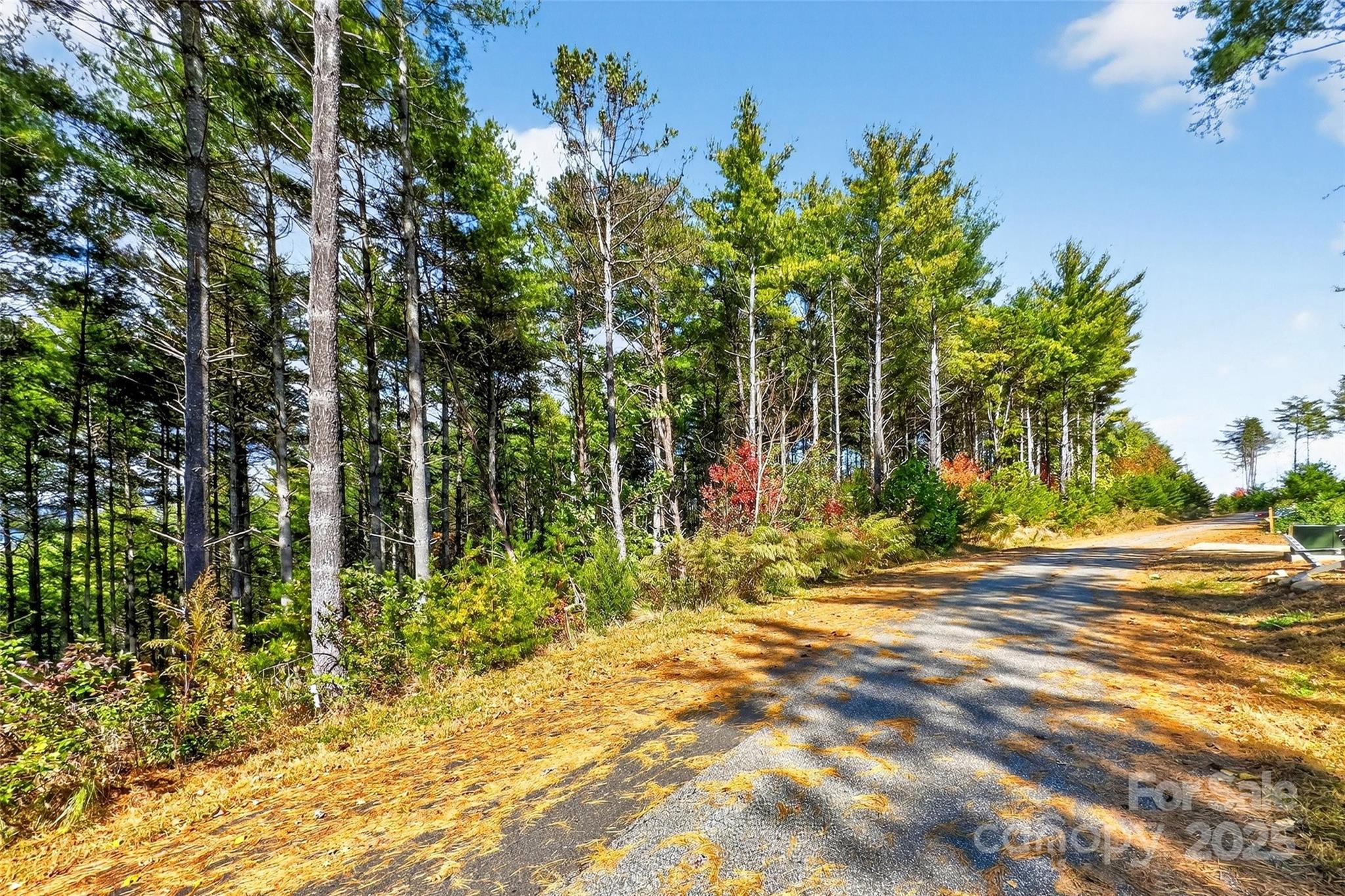 The Peninsula at Lake James - Land
