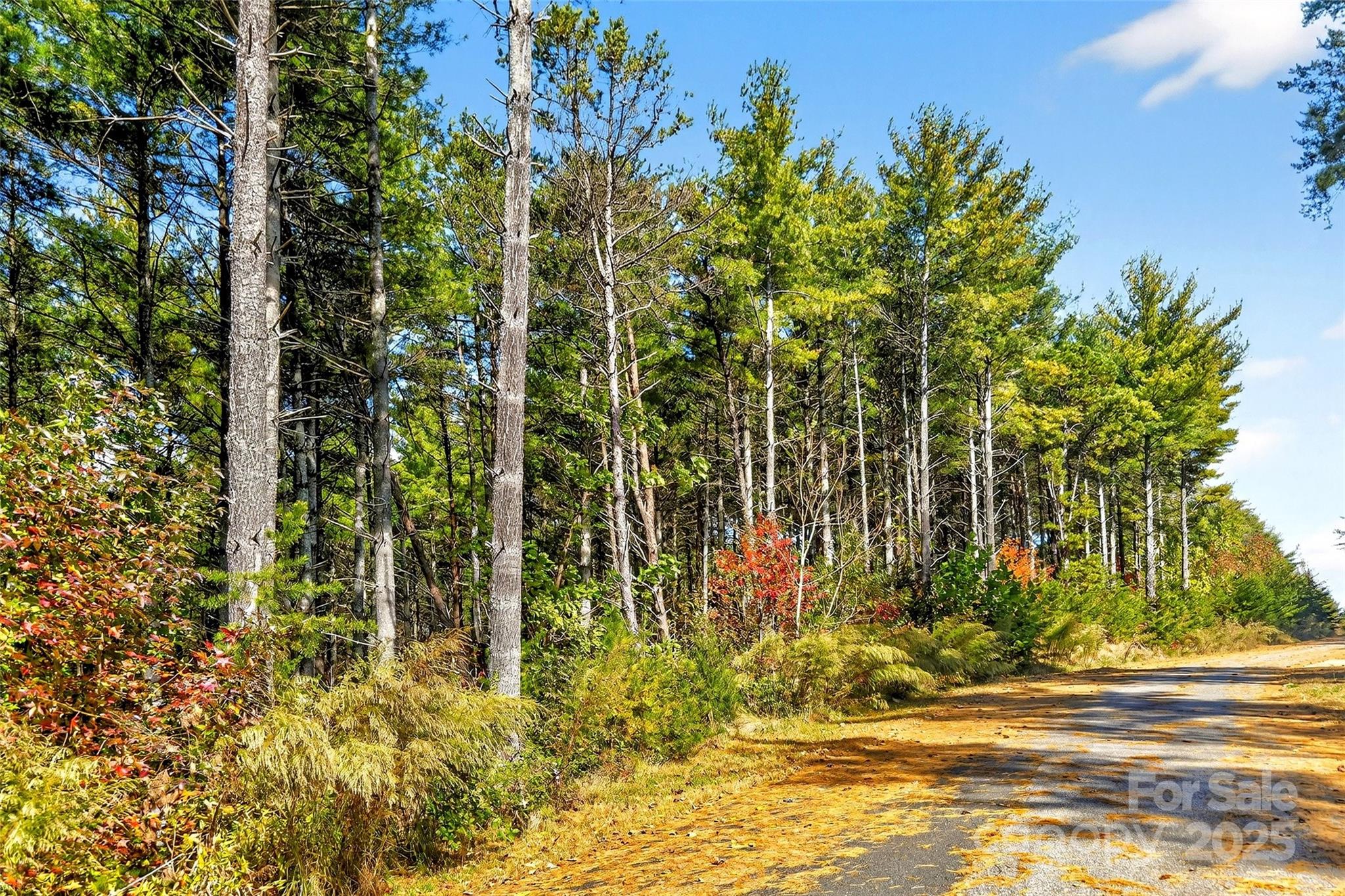 The Peninsula at Lake James - Land