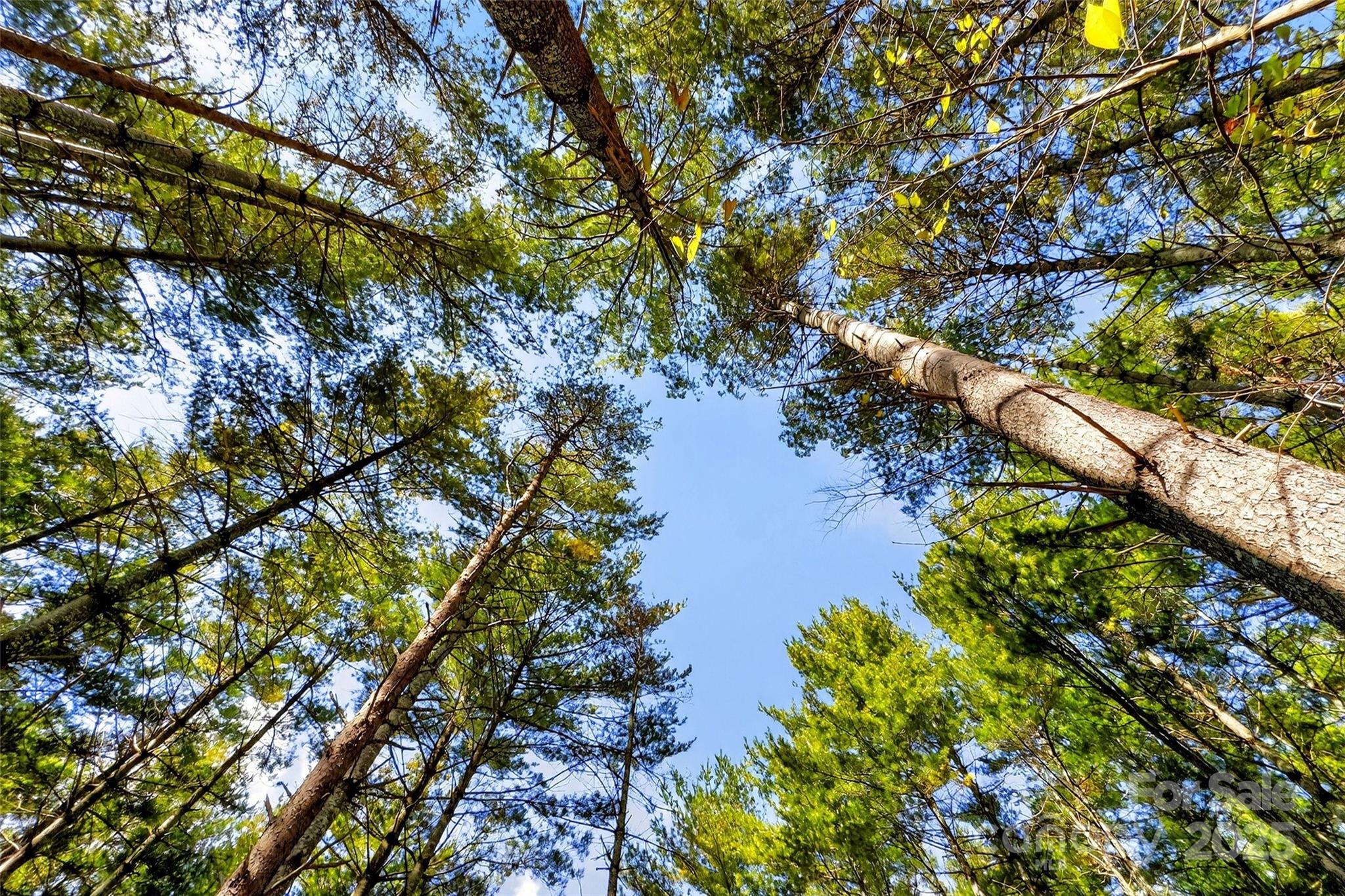 The Peninsula at Lake James - Land