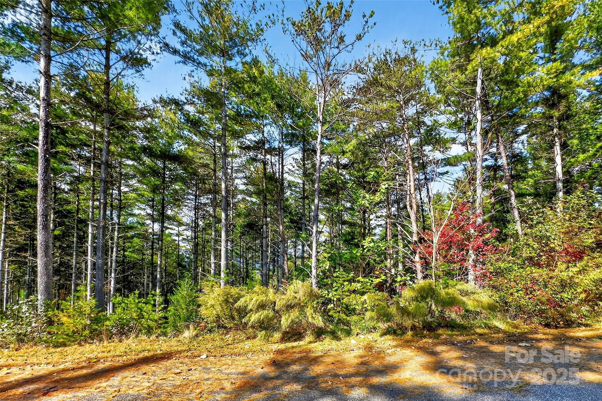 The Peninsula at Lake James - Land