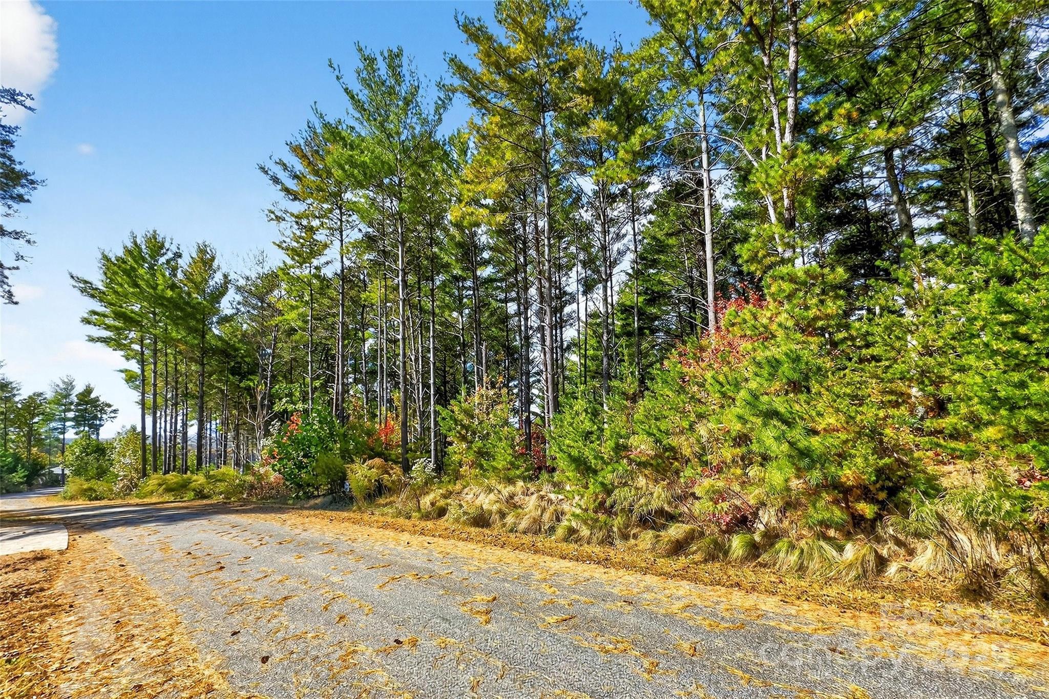 The Peninsula at Lake James - Land