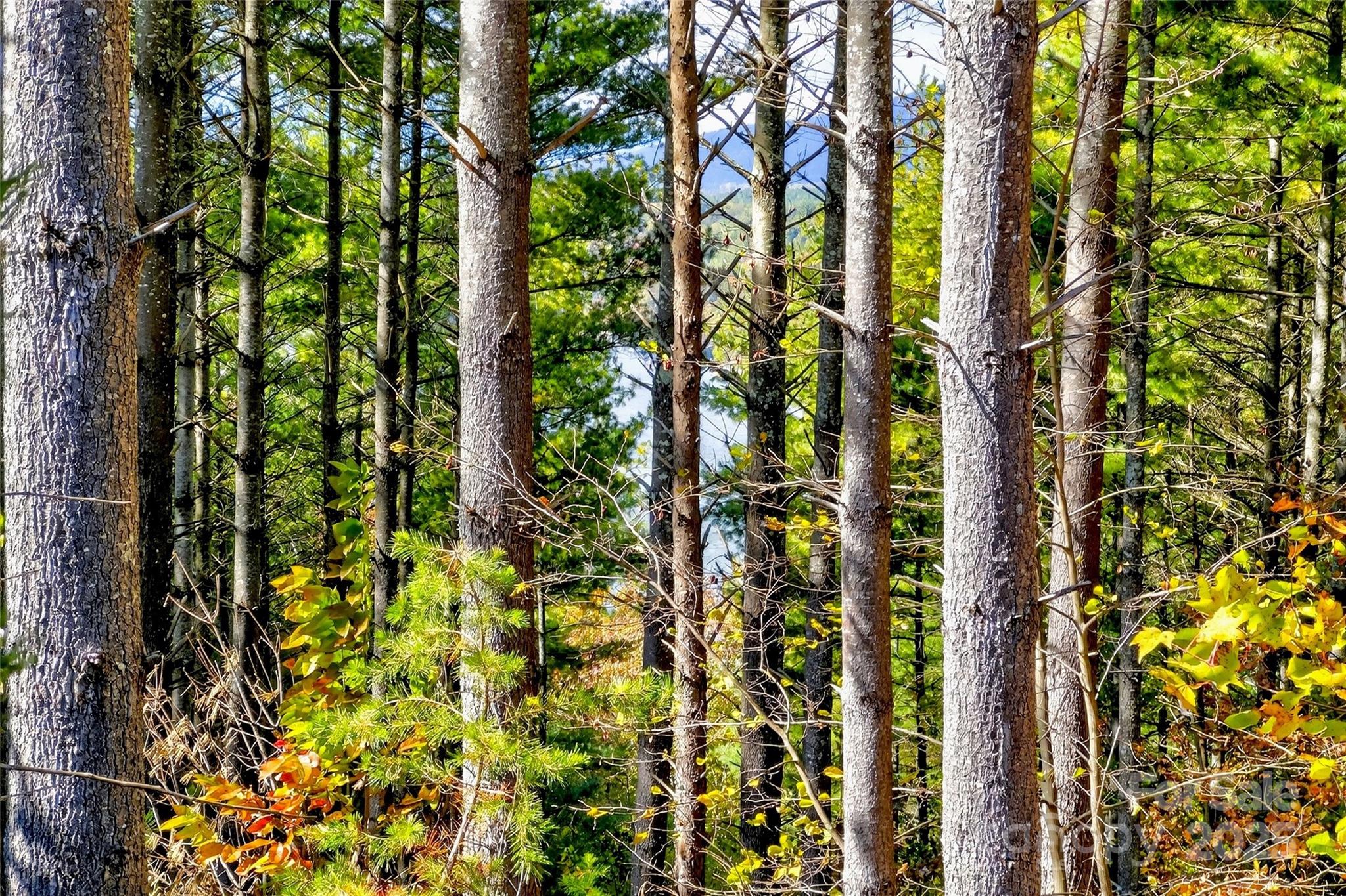 The Peninsula at Lake James - Land
