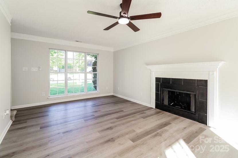14739 Cane Field Drive