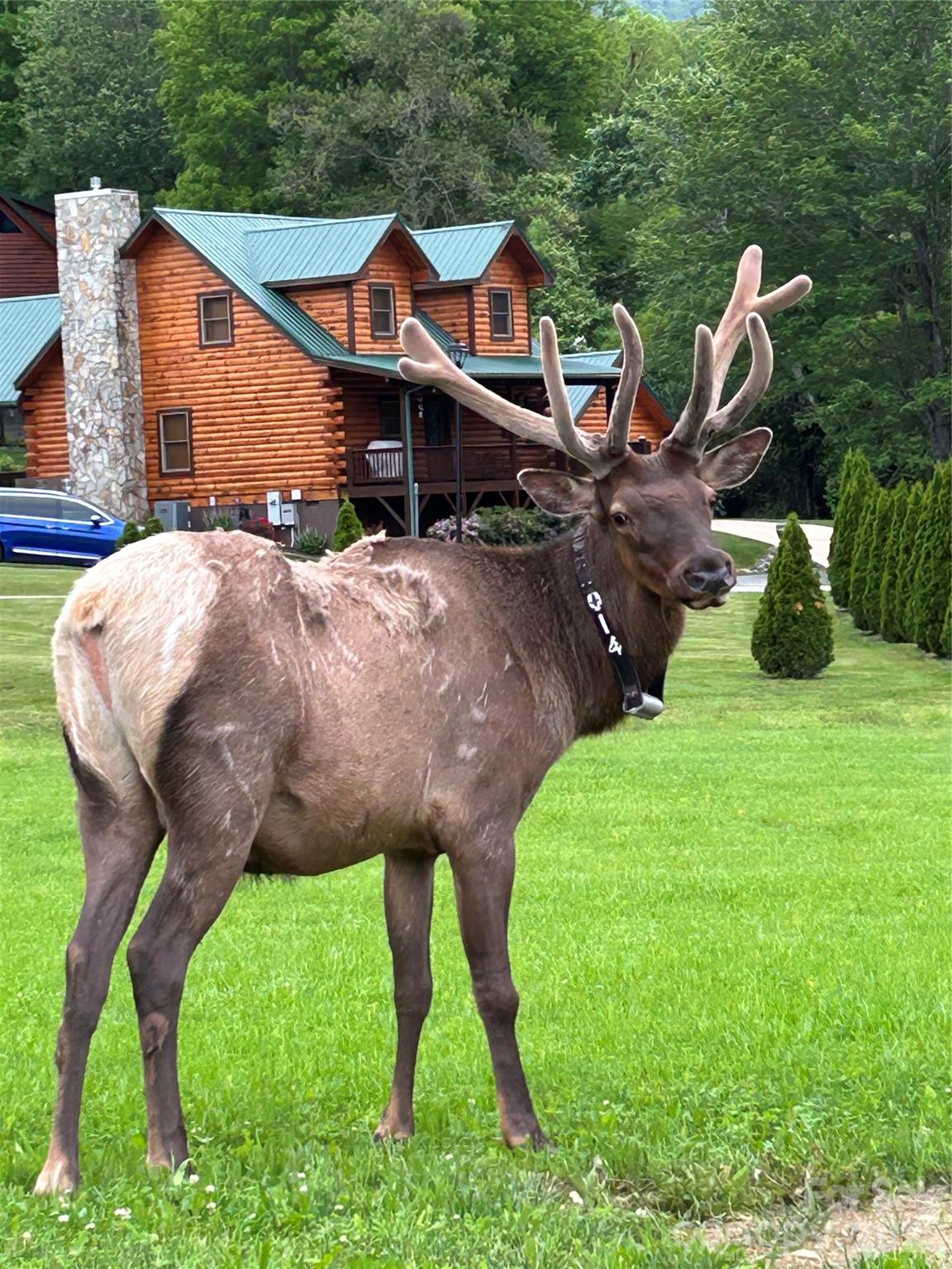 Stoney Ridge - Residential