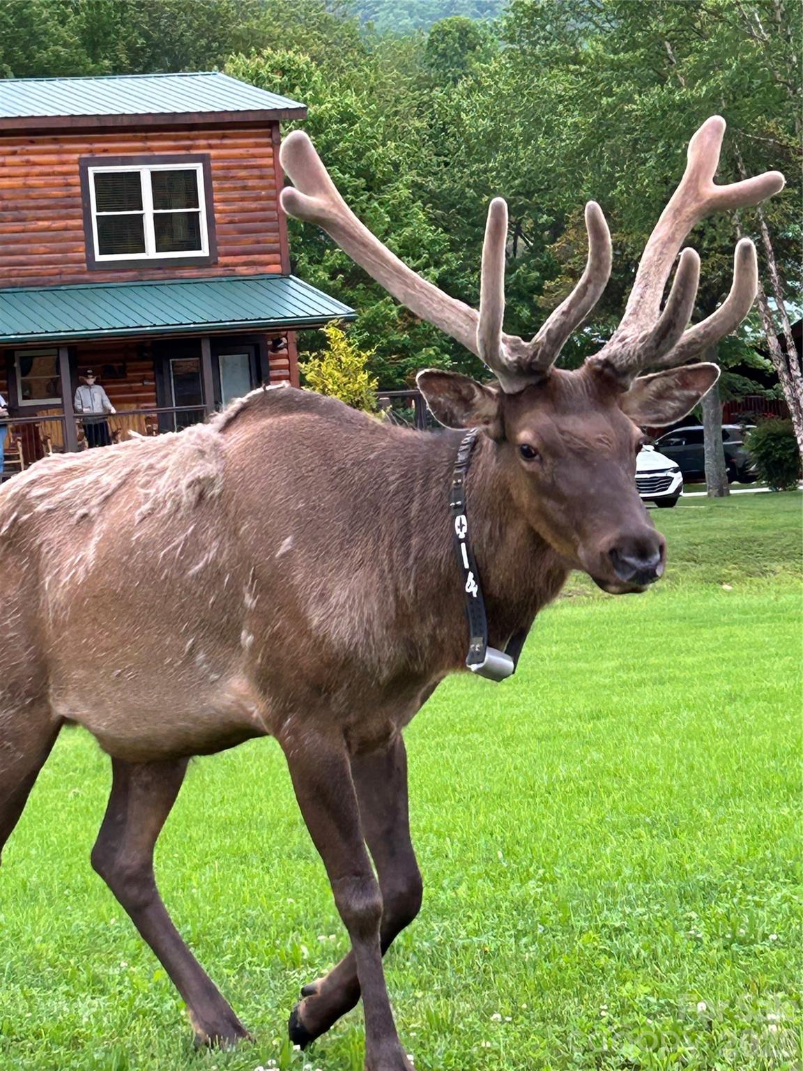 Stoney Ridge - Residential
