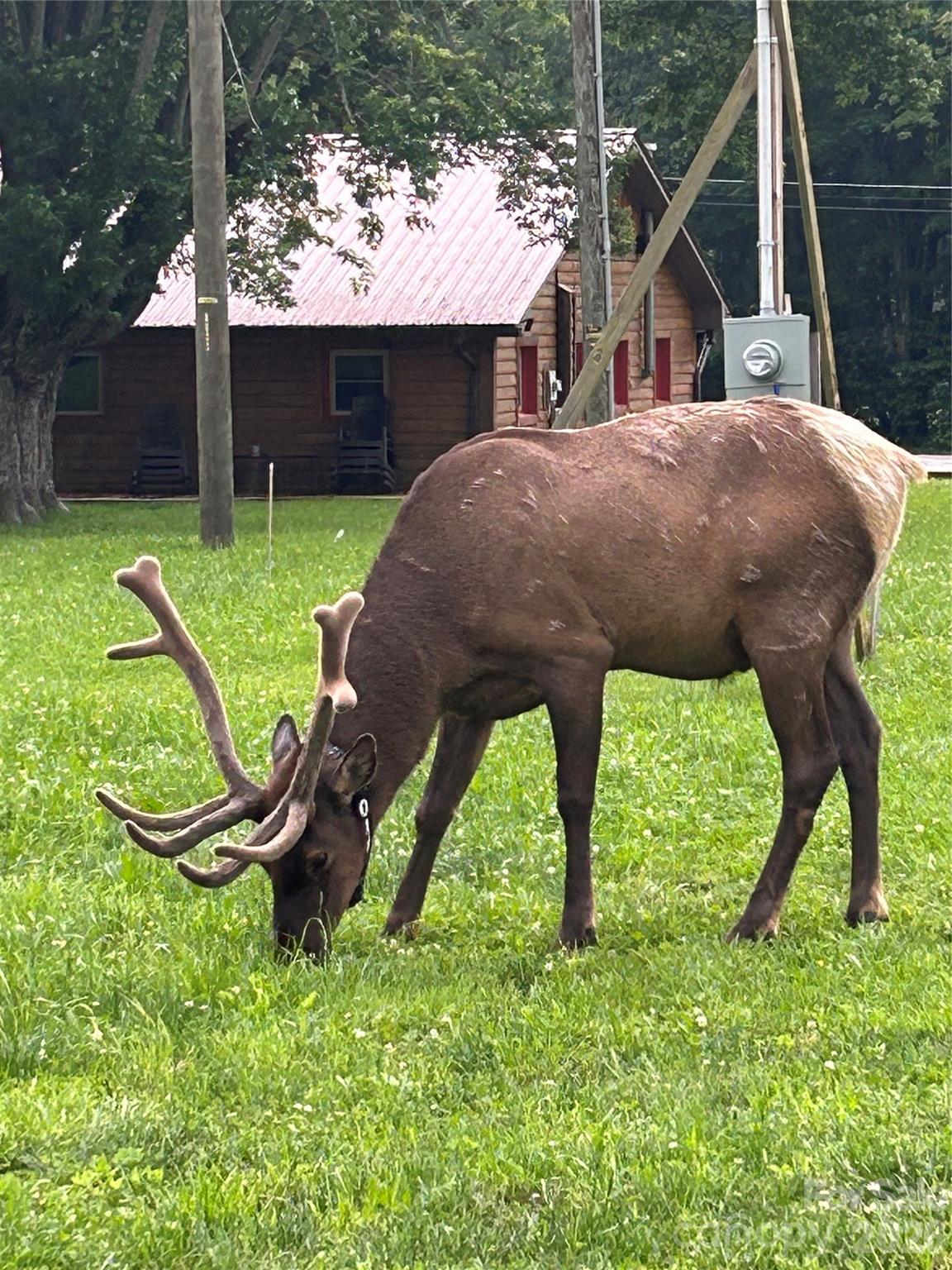 Stoney Ridge - Residential