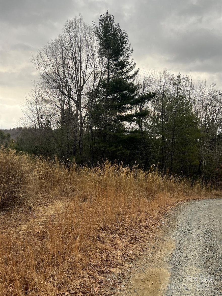 Priced at $68,900 with flexible Seller Financing available.Discover your mountain retreat in scenic Dogwood Mountain Estates! This peaceful 1.12-acre homesite at 3,300 ft offers cool summers, quiet seclusion, and multiple buildable spots. Underground electric is already in place, making it ideal for your custom getaway.Enjoy privacy with accessibility, just minutes from DuPont State Forest’s waterfalls, Pisgah National Forest, and the charm of Brevard, Hendersonville, and Asheville.Perfect for building now or holding as a long-term investment. Septic and well are needed. Close to trails, waterfalls and outdoor adventures! There is a $300/year HOA fees for street lights and road maintenance. A portion of this lot is in Transylvania county (.34 acres) and part is in Henderson county (.78 acres) and is taxed accordingly. Please contact the HOA president to determine the property's relationship to the HOA. Road to the property is both paved and gravel in portions and well maintained.