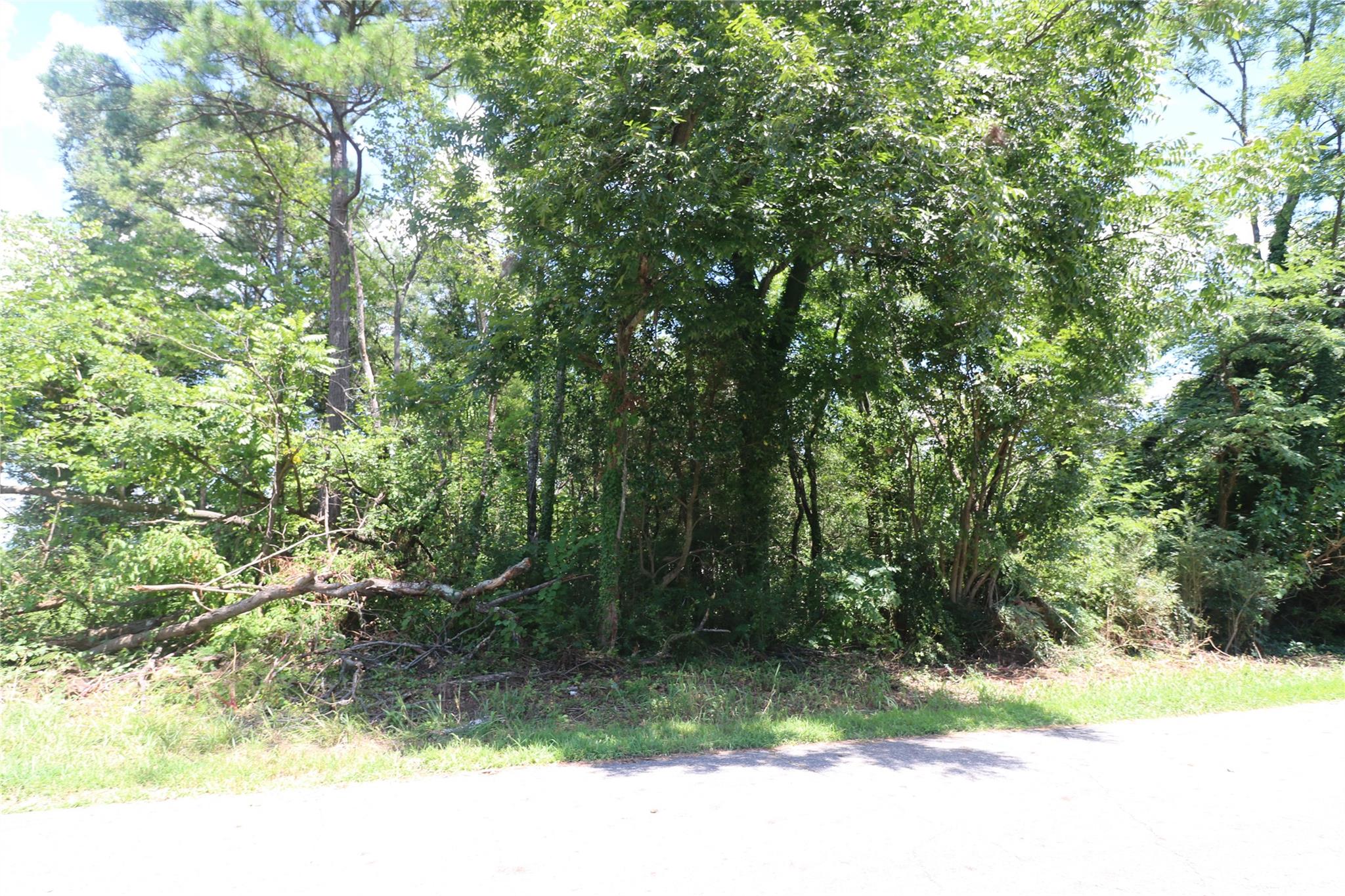 0 Springfield Drive