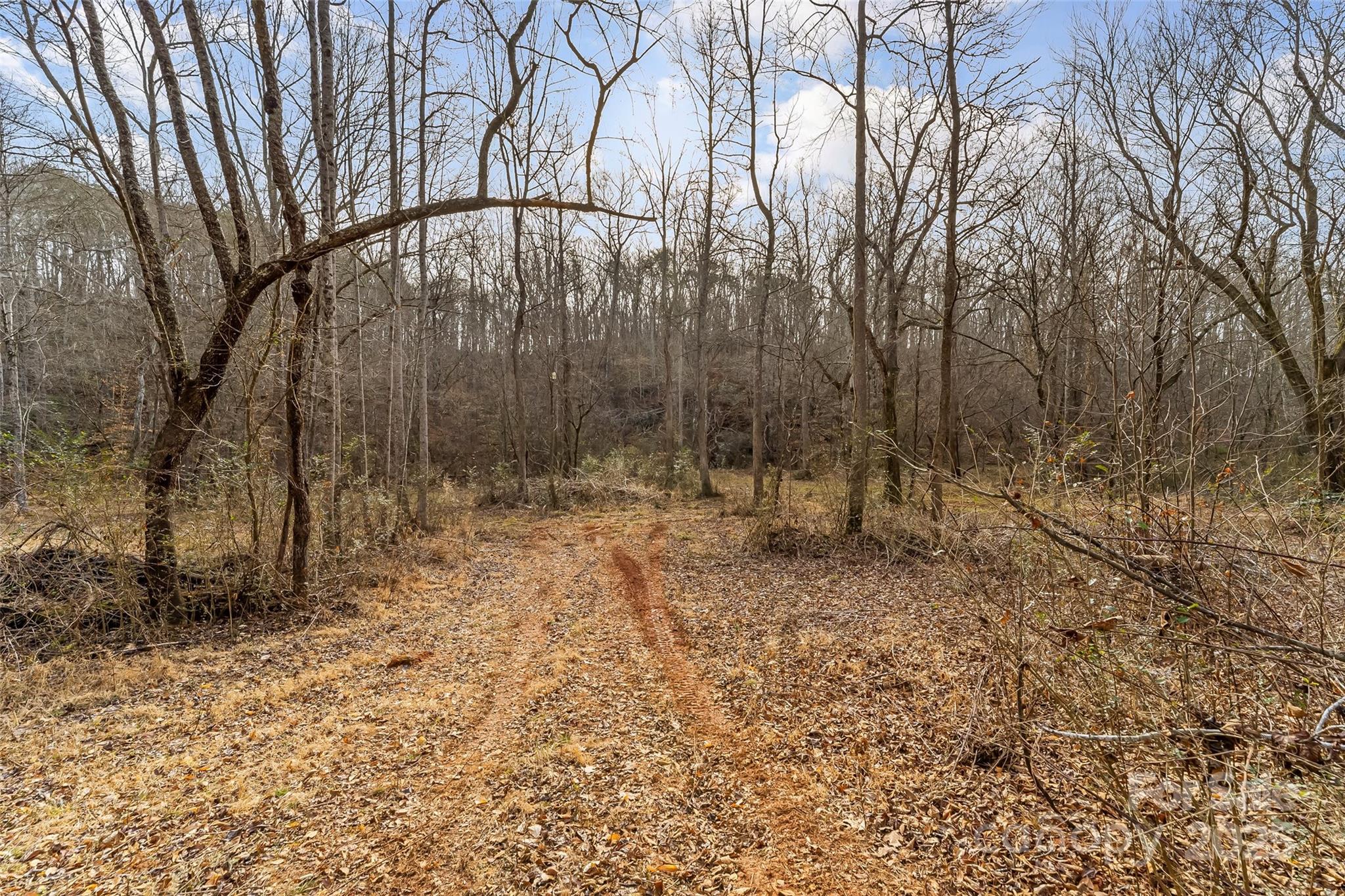 Dales Deer Creek - Land