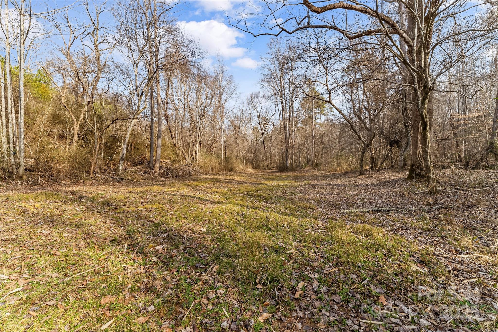 Dales Deer Creek - Land