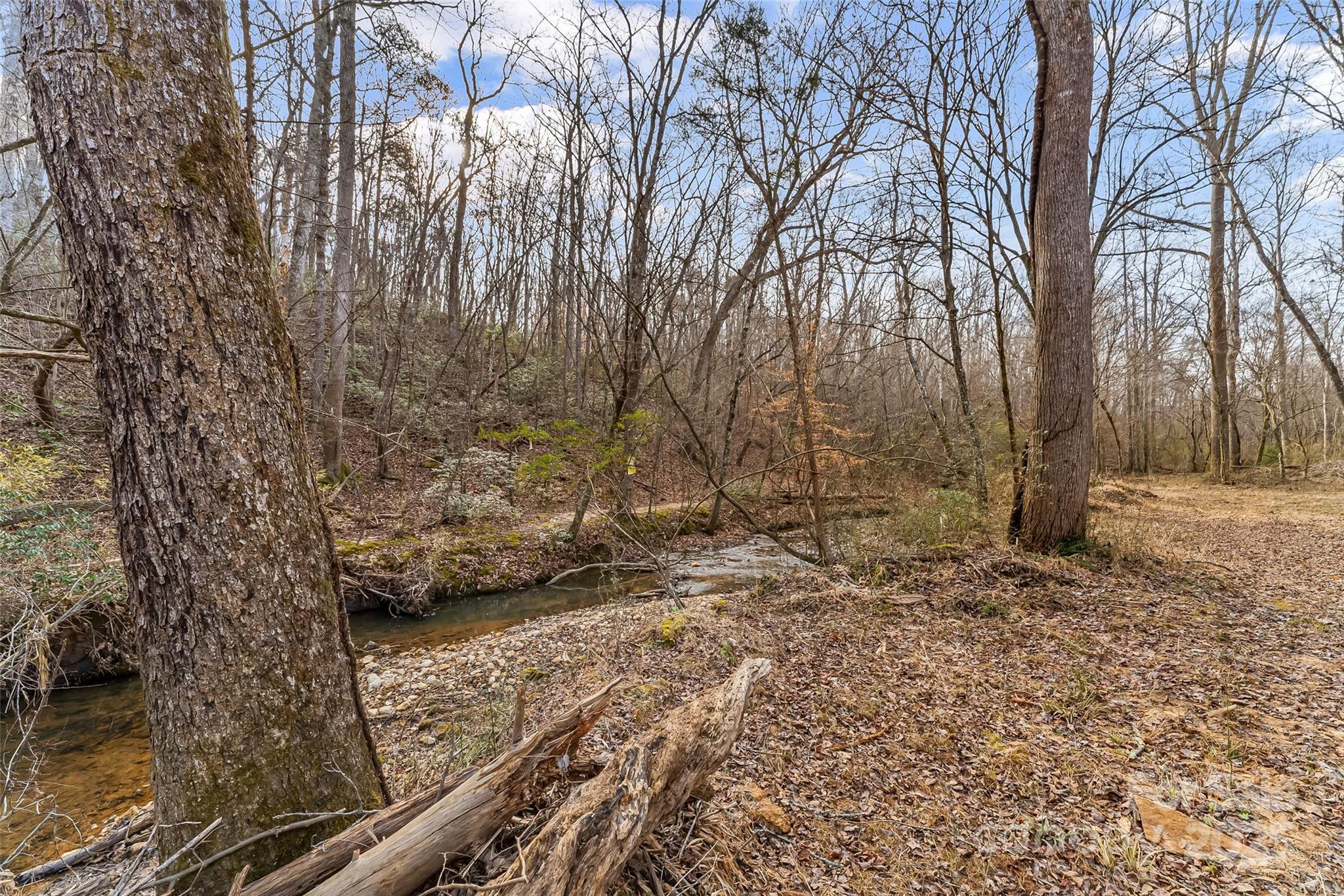 Dales Deer Creek - Land