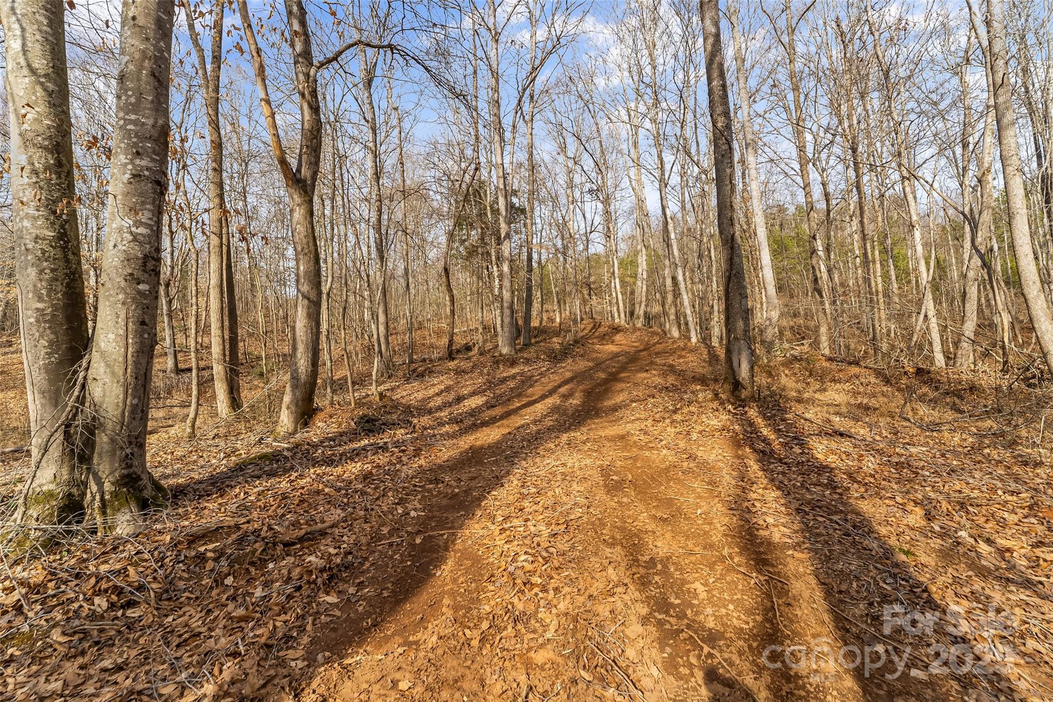 Dales Deer Creek - Land