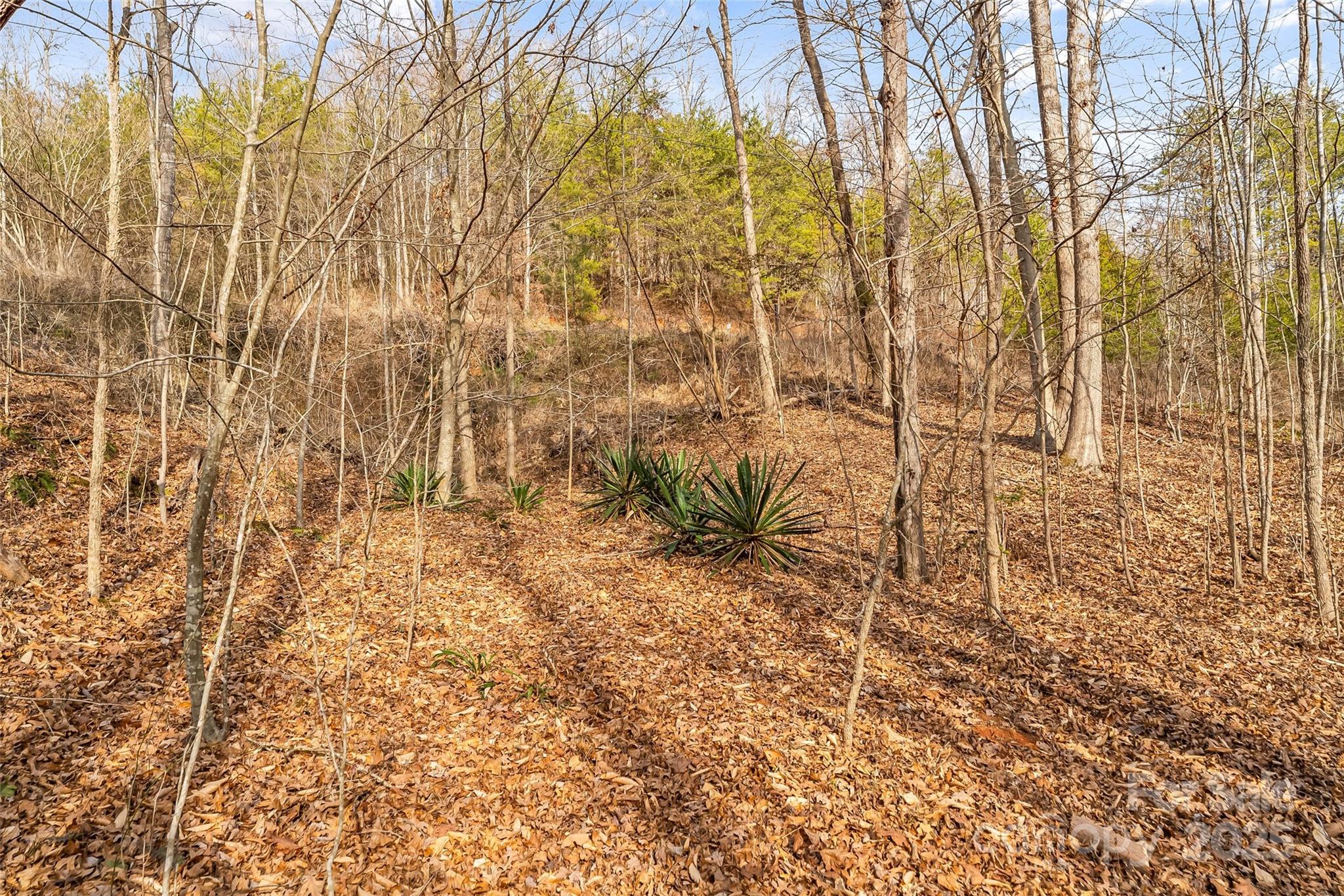 Dales Deer Creek - Land